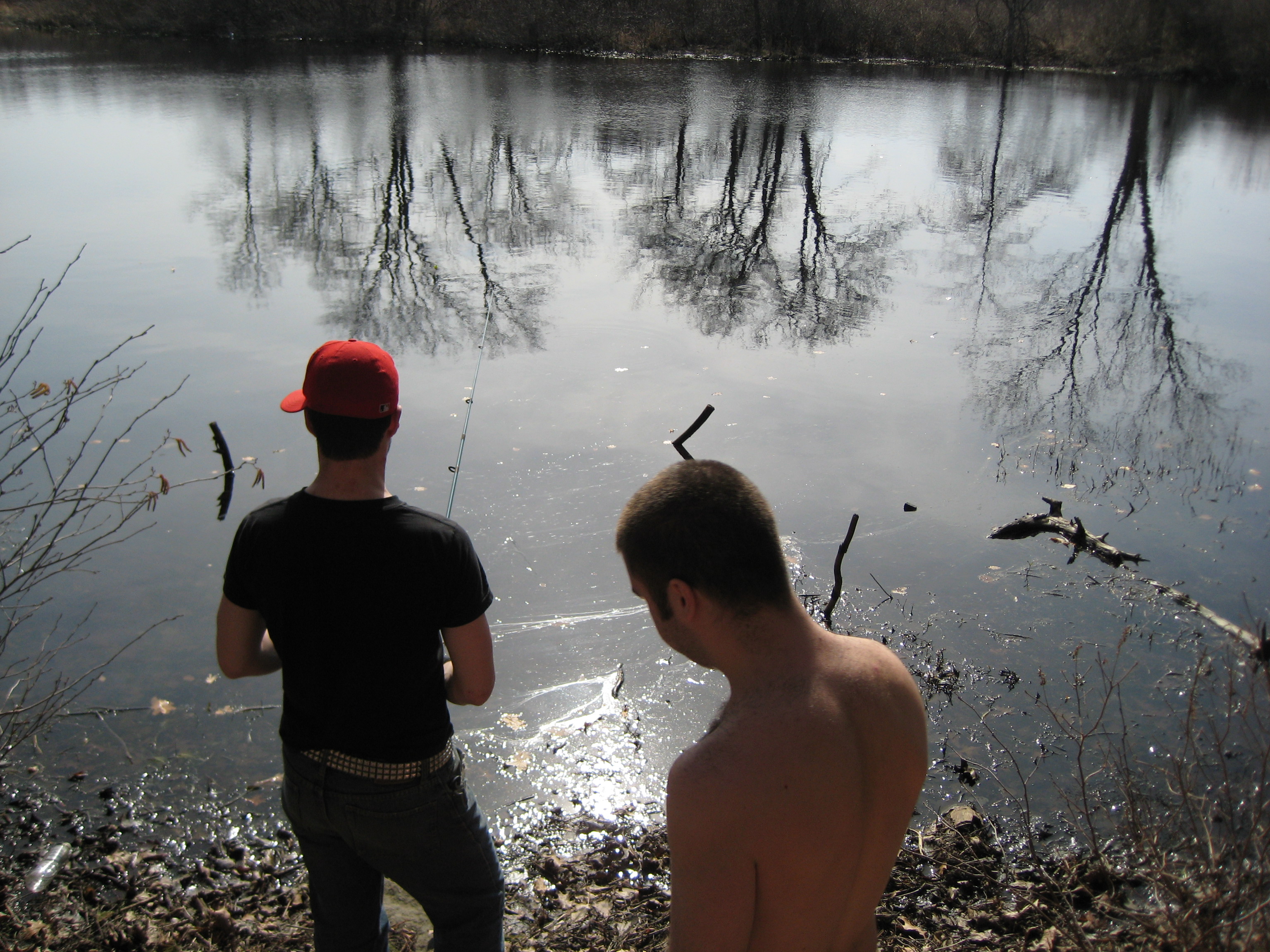 Bird sanctuary photo