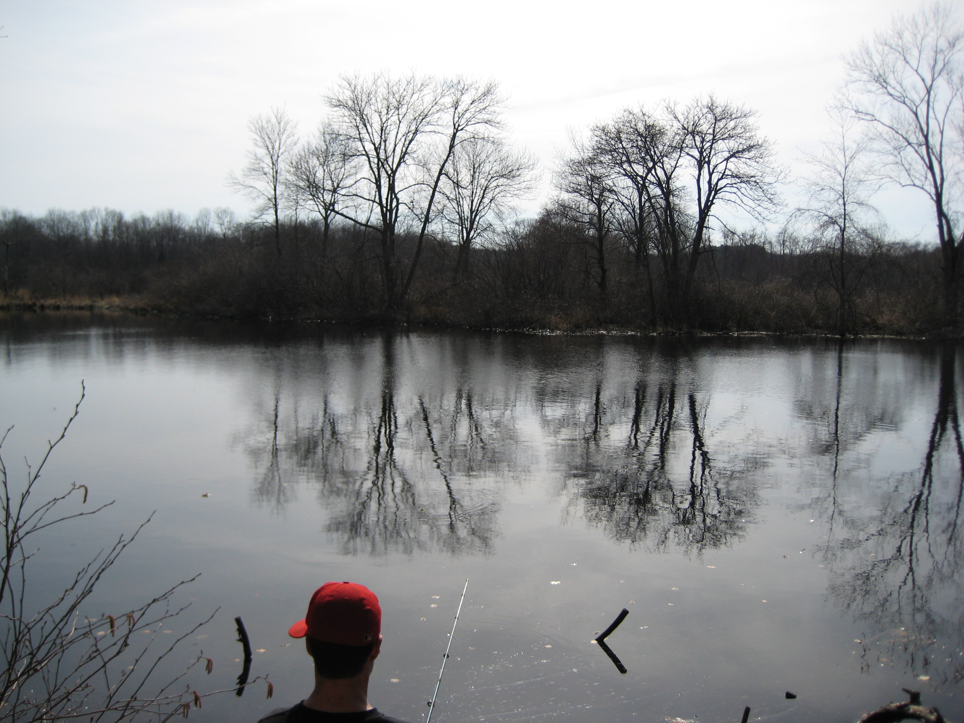 Bird sanctuary photo