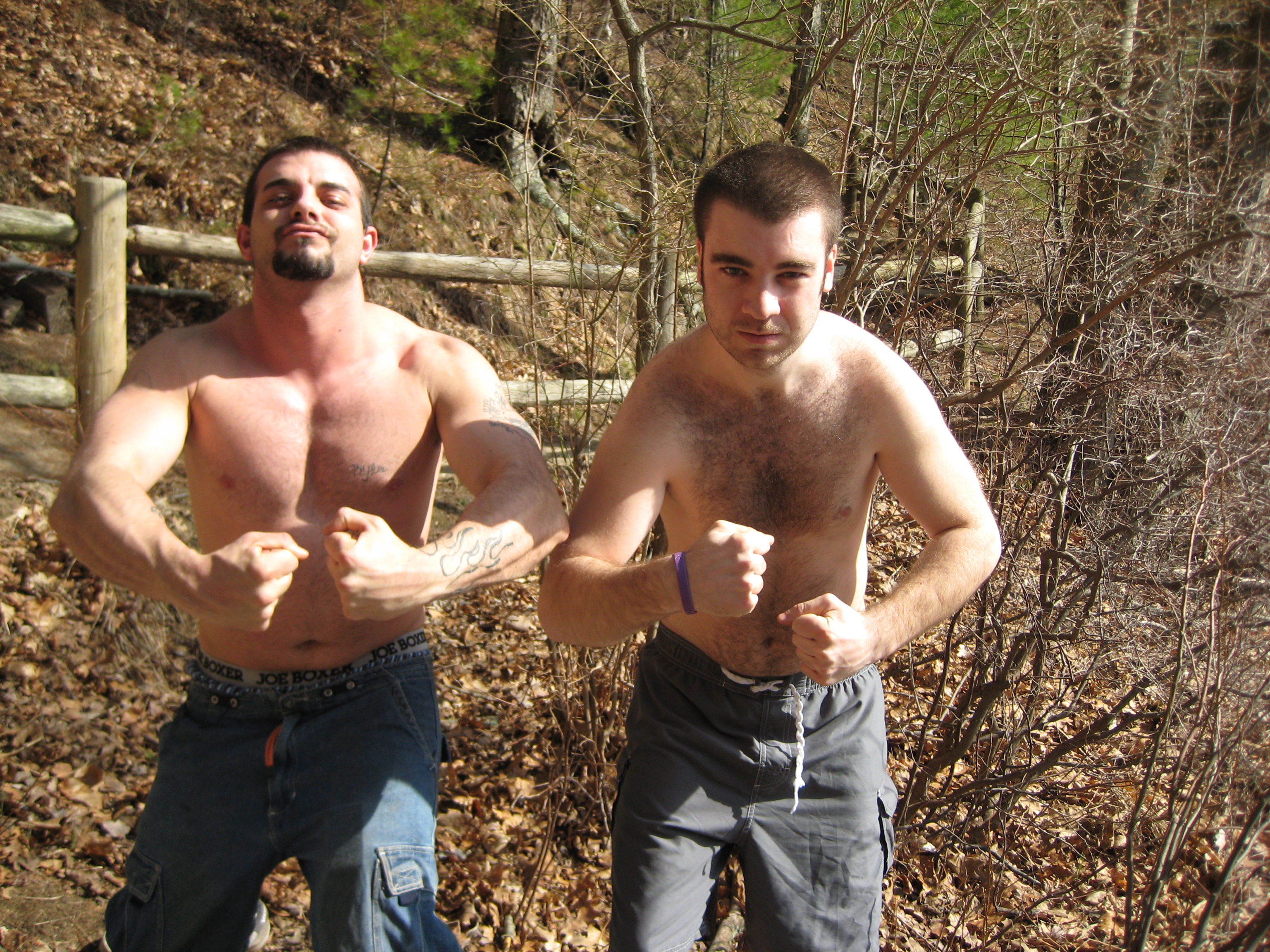 Bird sanctuary photo