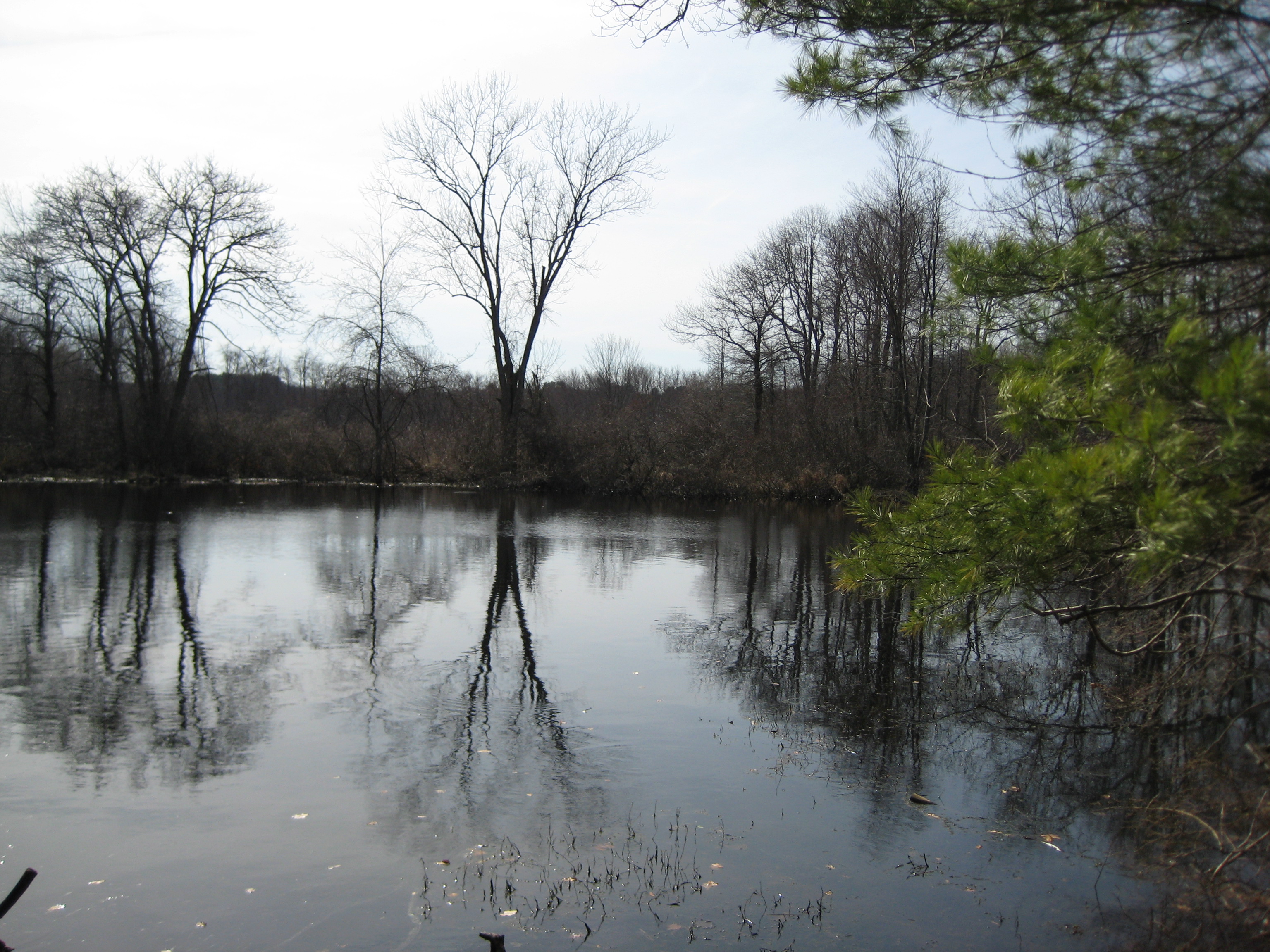 Bird sanctuary photo