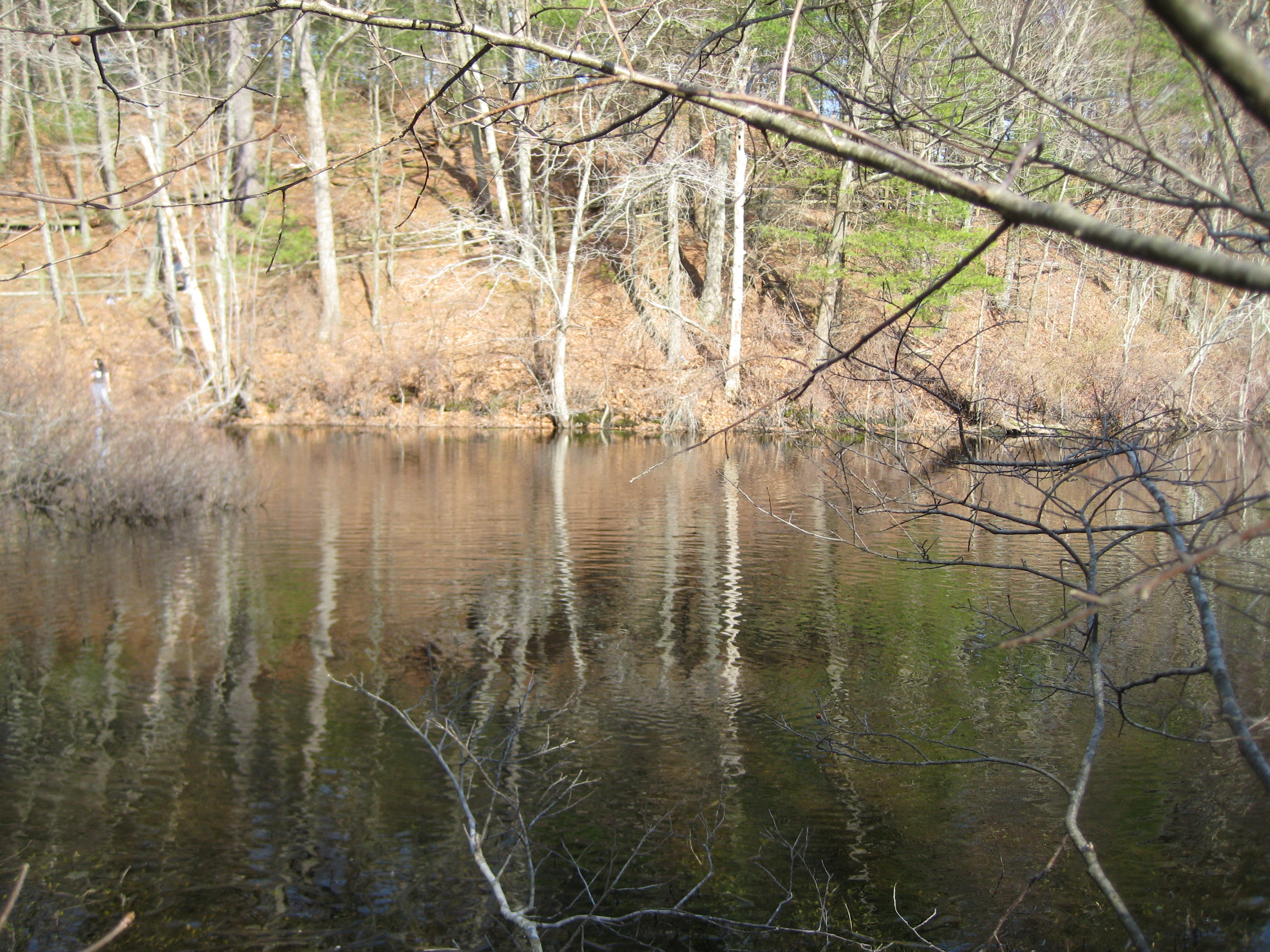 Bird sanctuary photo