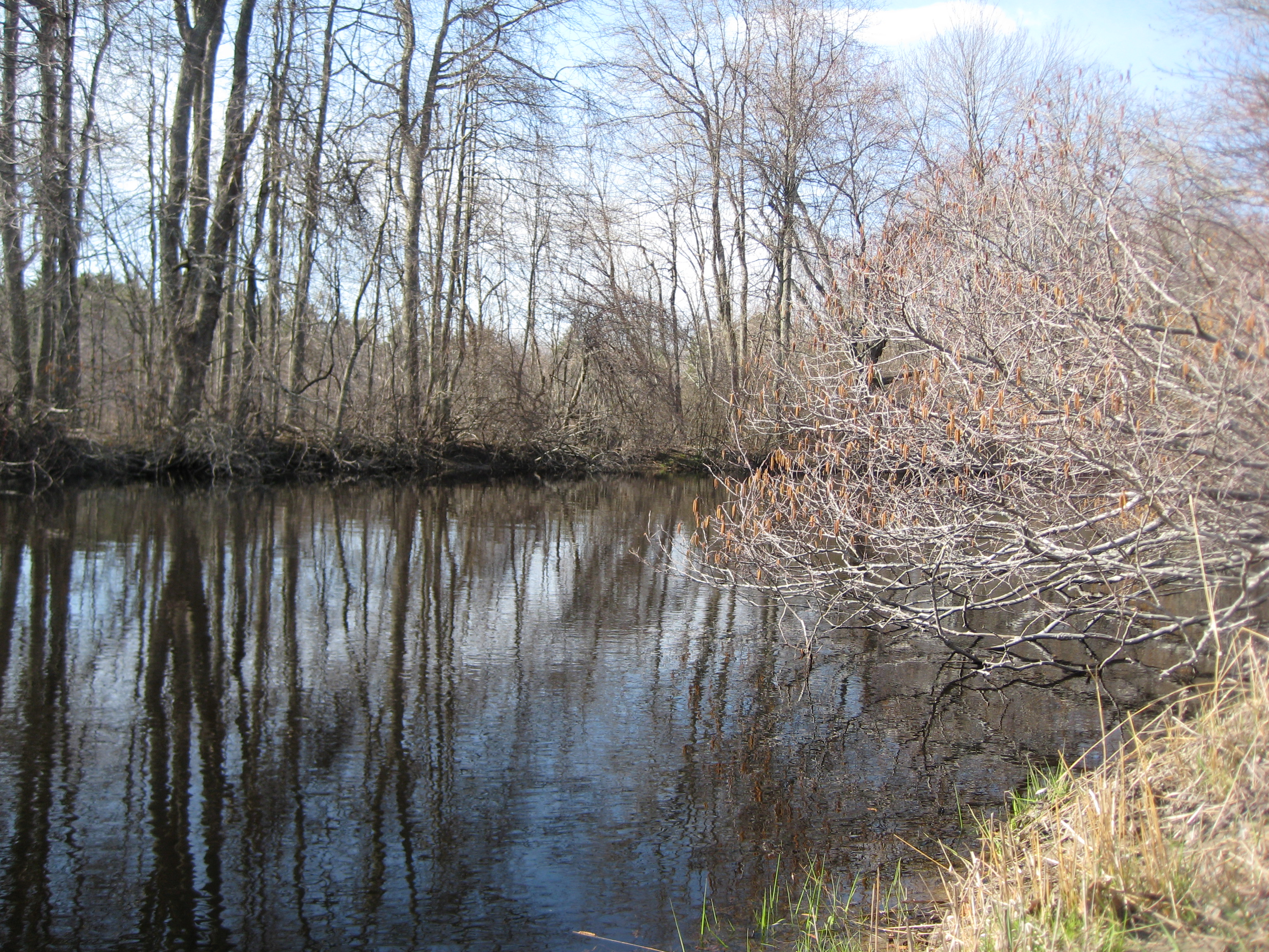 Bird sanctuary photo