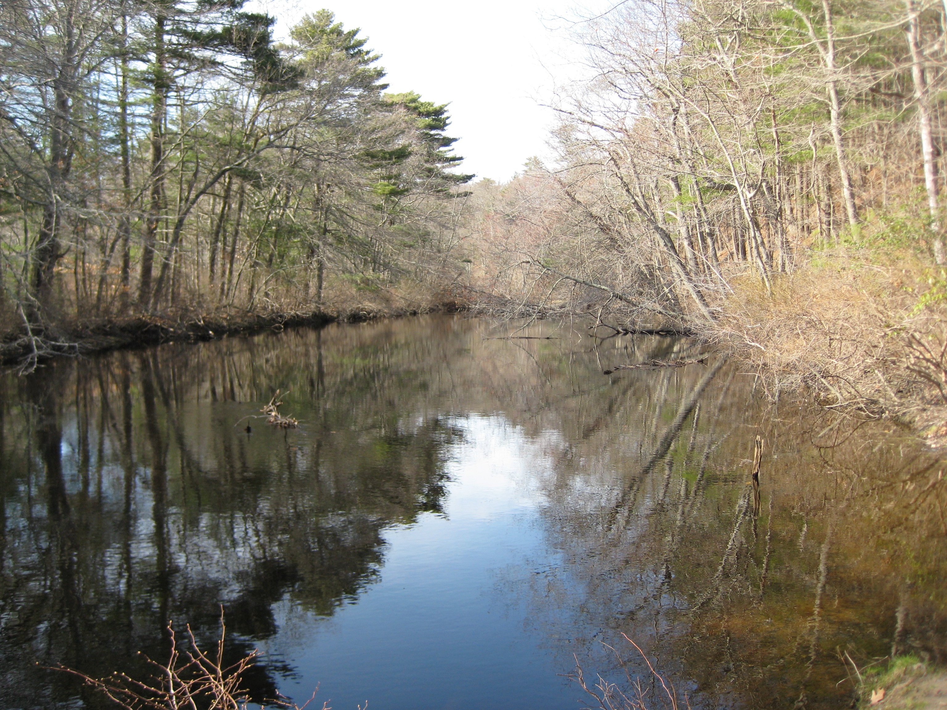 Bird sanctuary photo