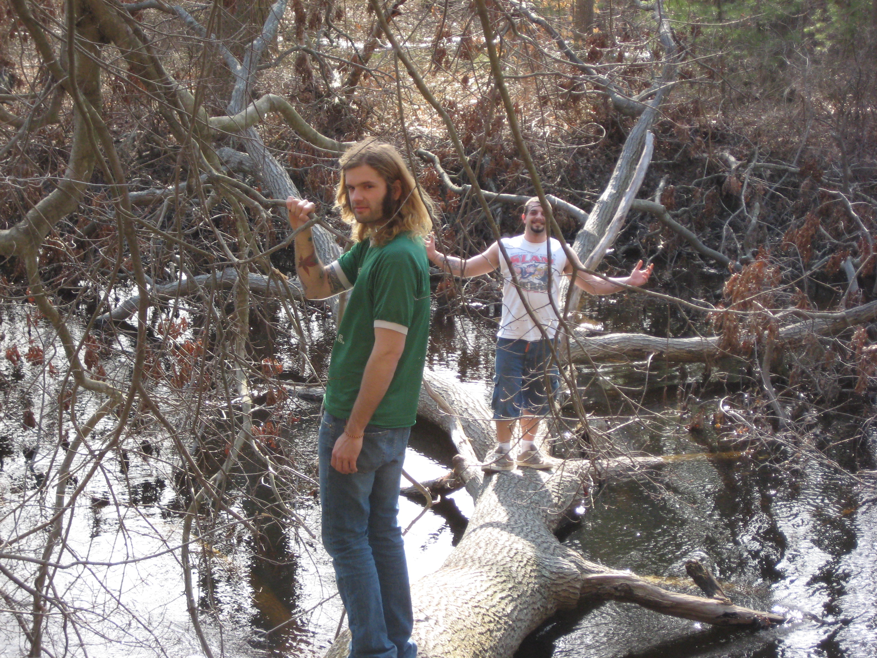 Bird sanctuary photo