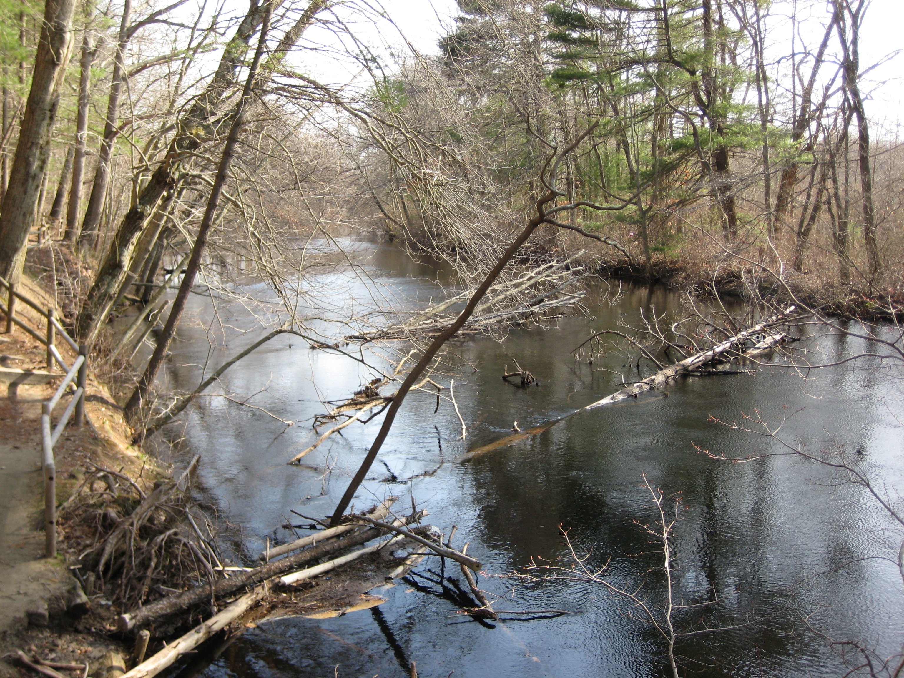 Bird sanctuary photo