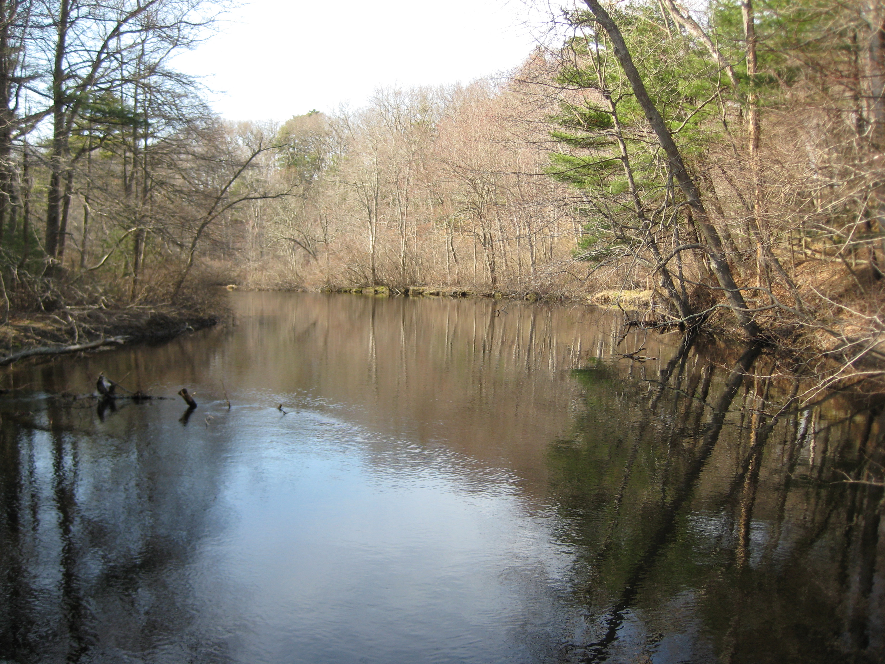Bird sanctuary photo