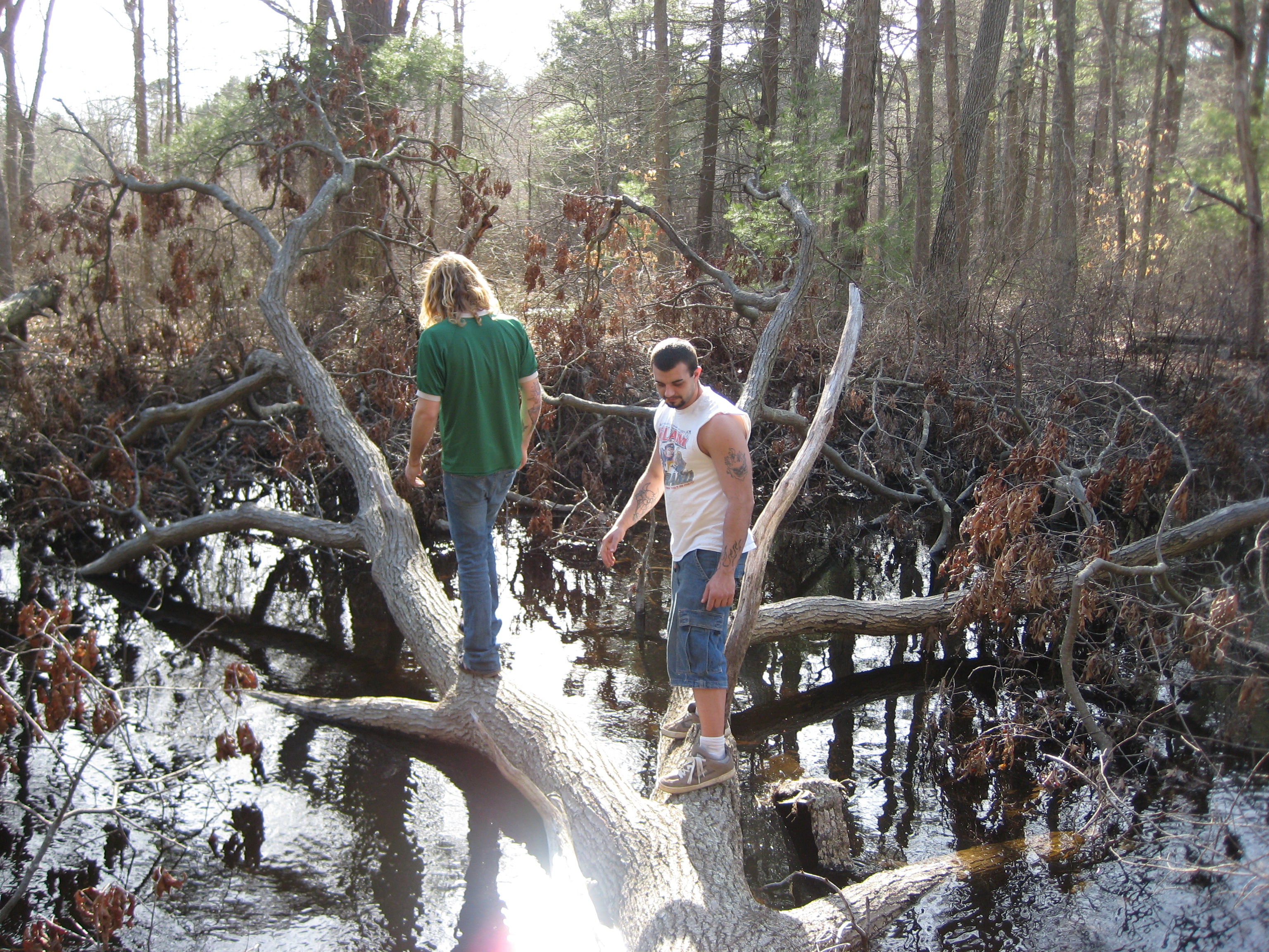 Bird sanctuary photo
