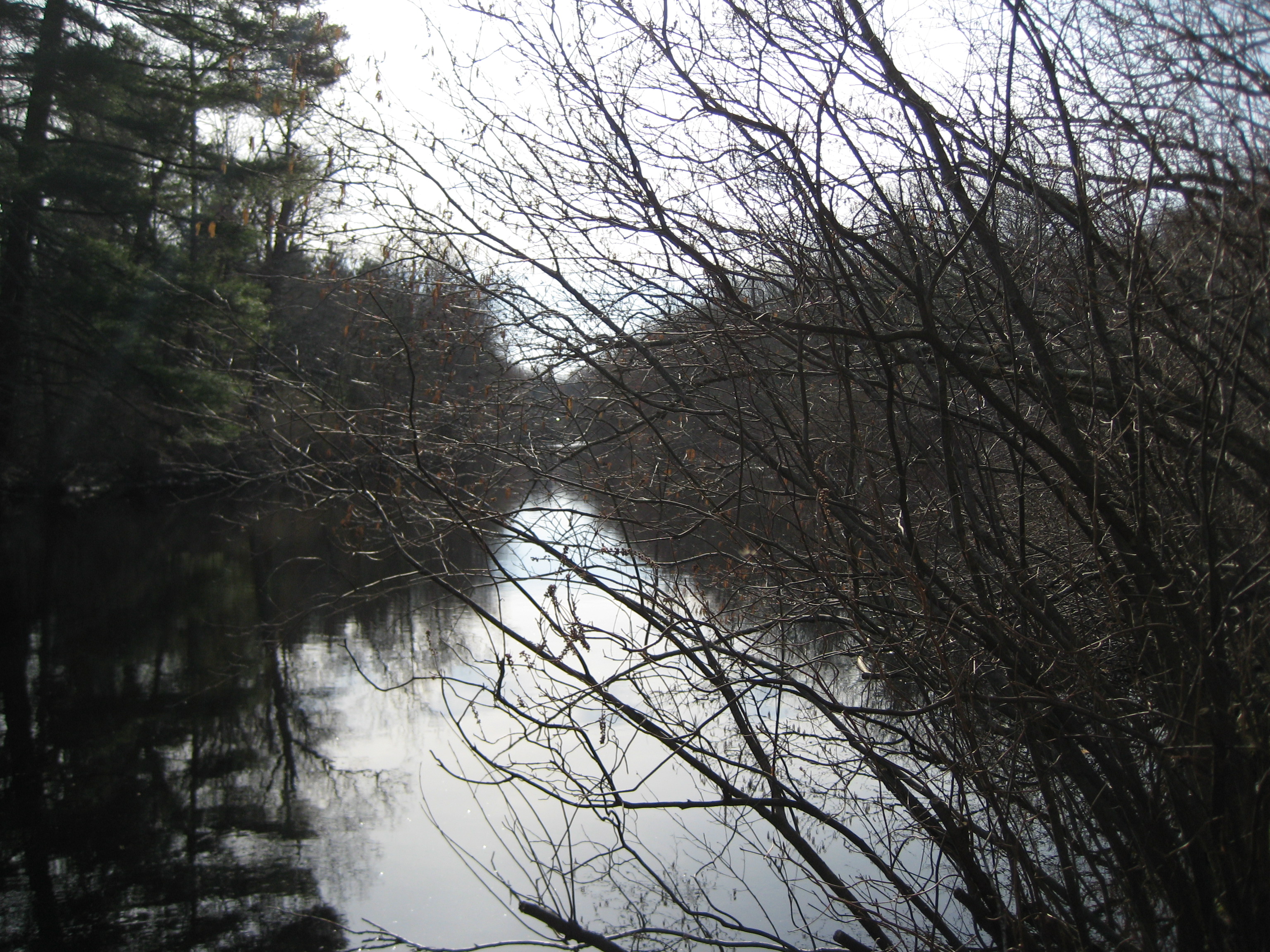 Bird sanctuary photo