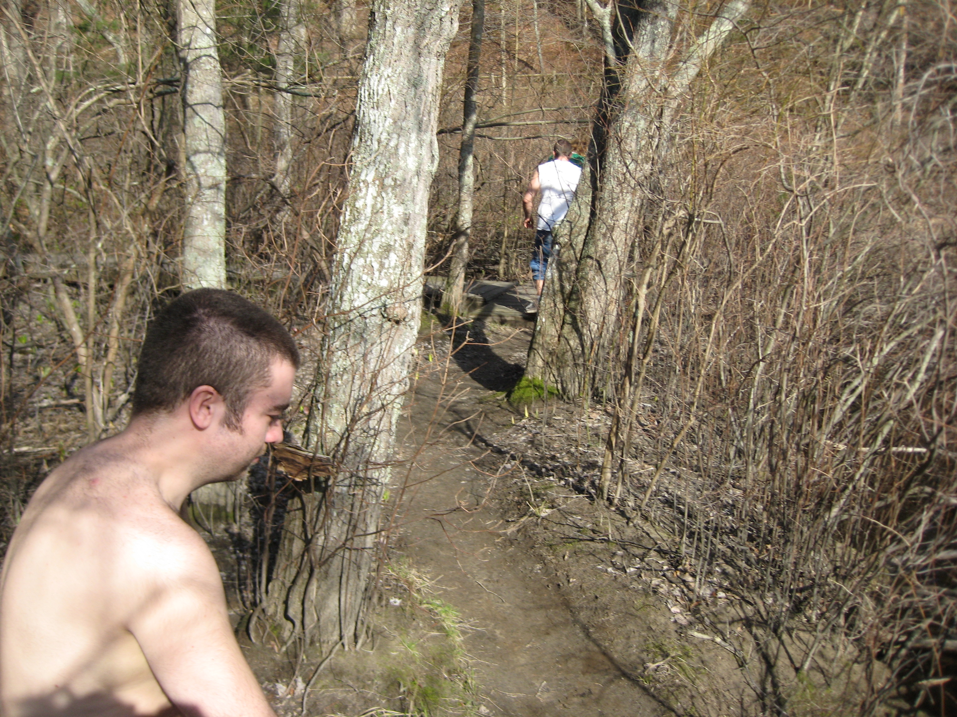 Bird sanctuary photo