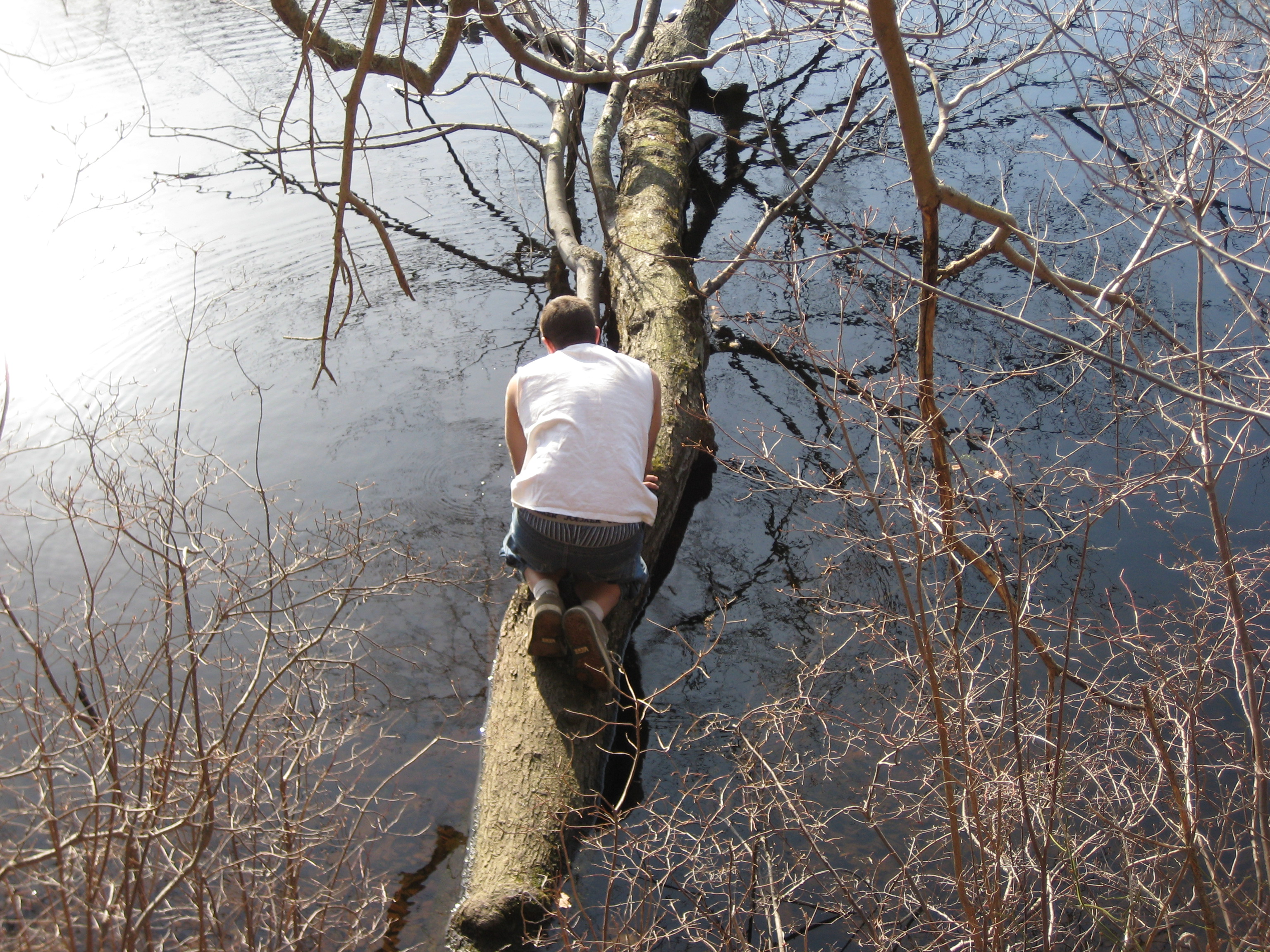 Bird sanctuary photo