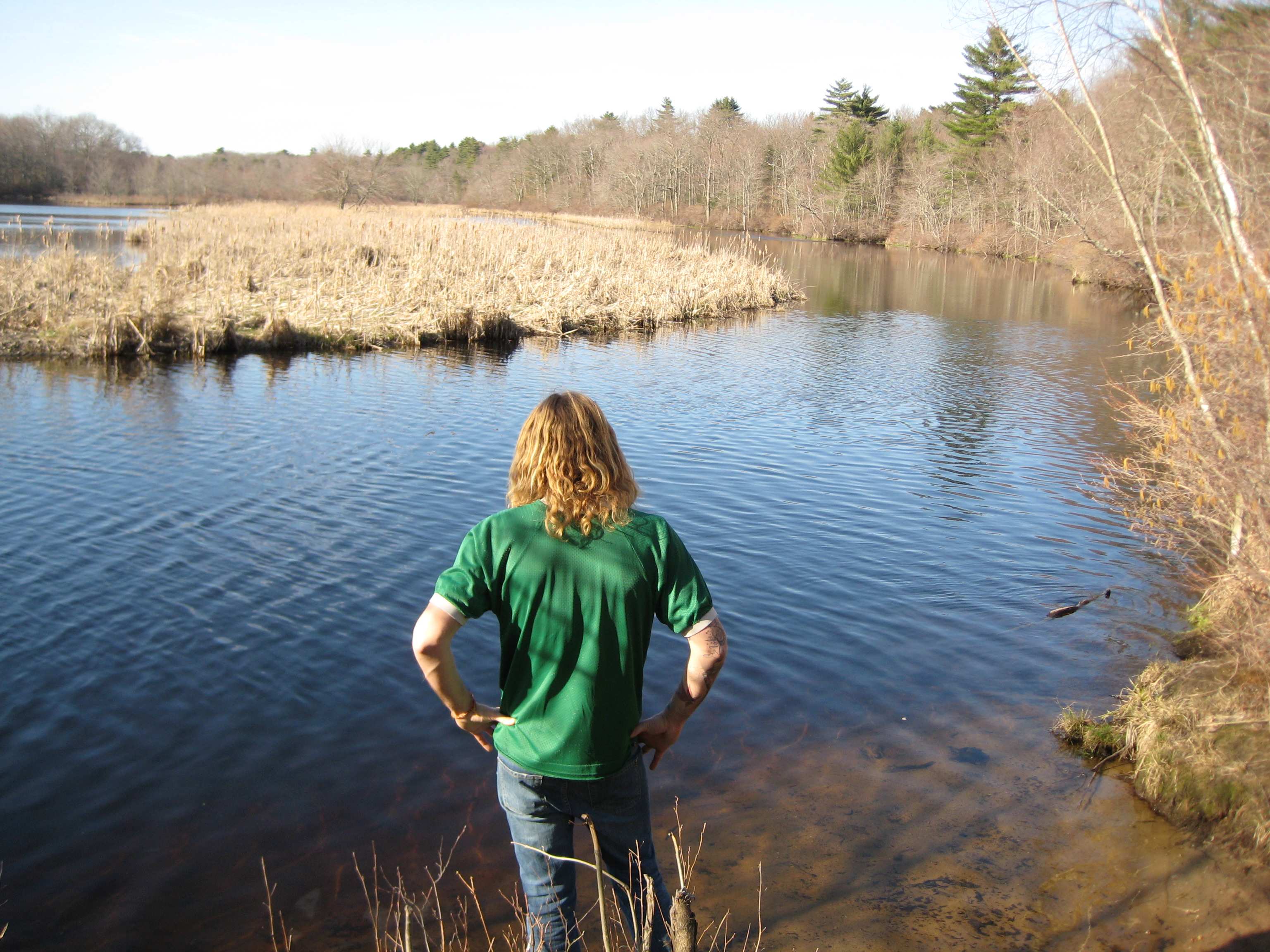 Bird sanctuary photo