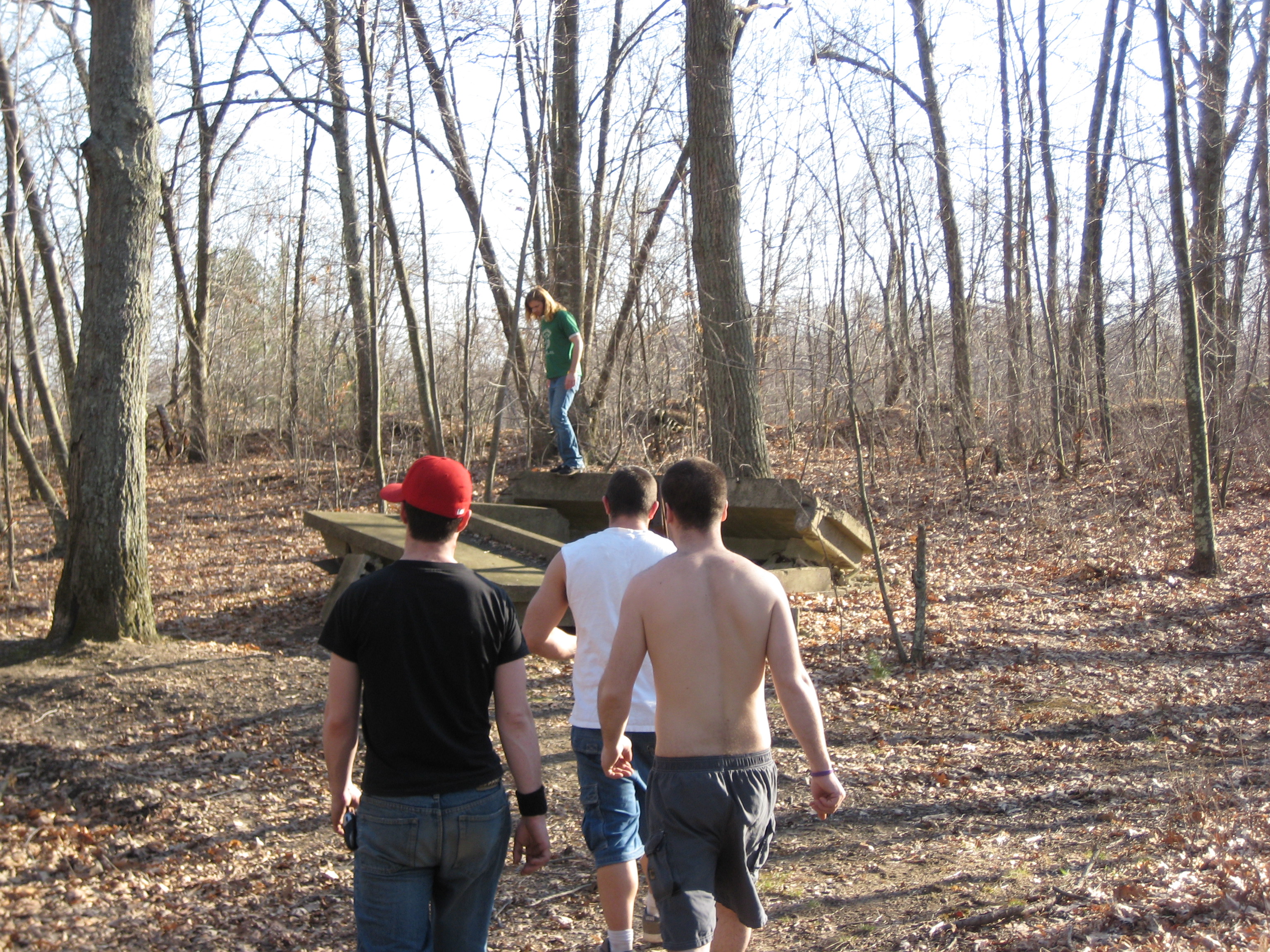 Bird sanctuary photo