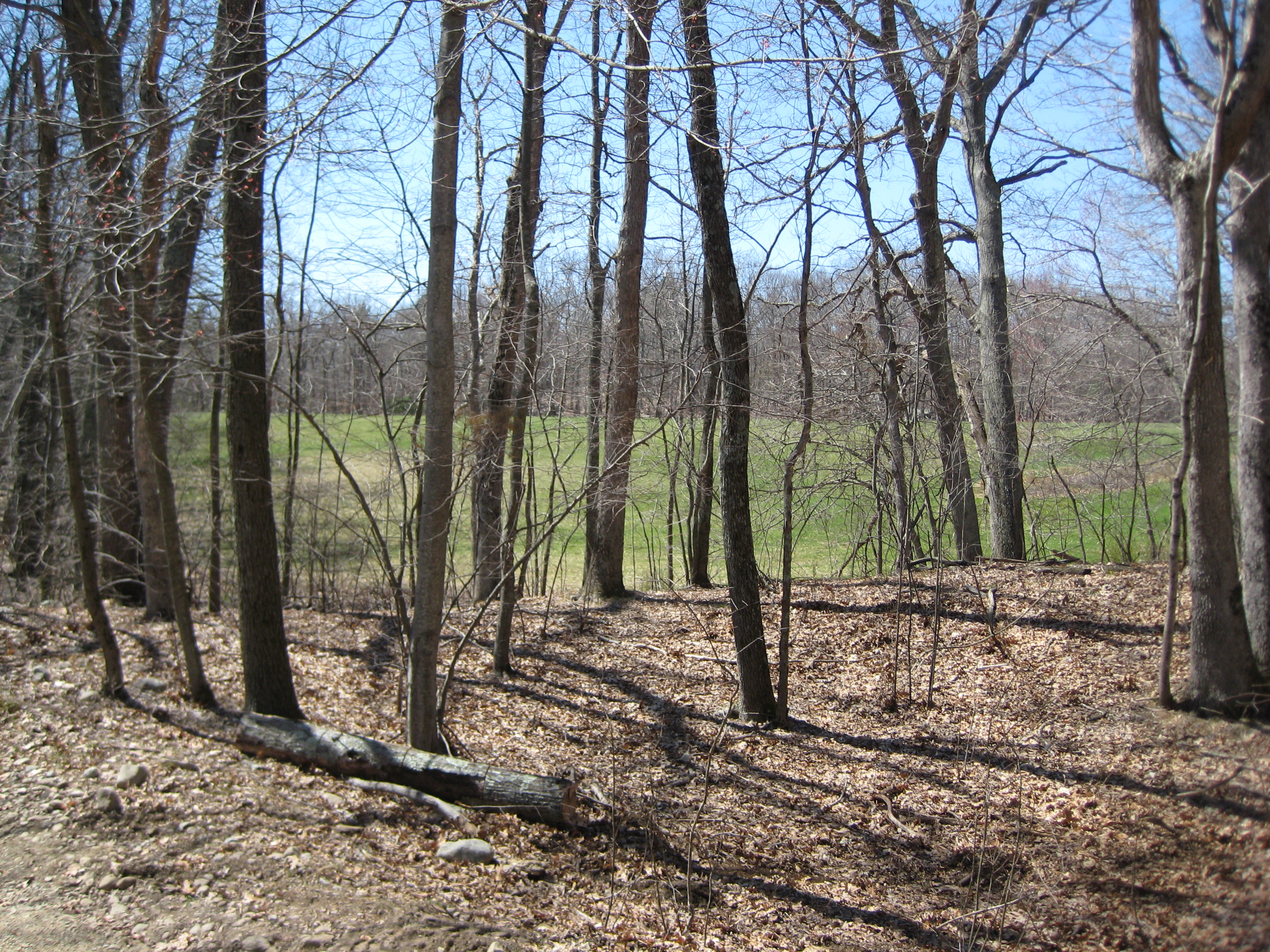 Borderland Park photo