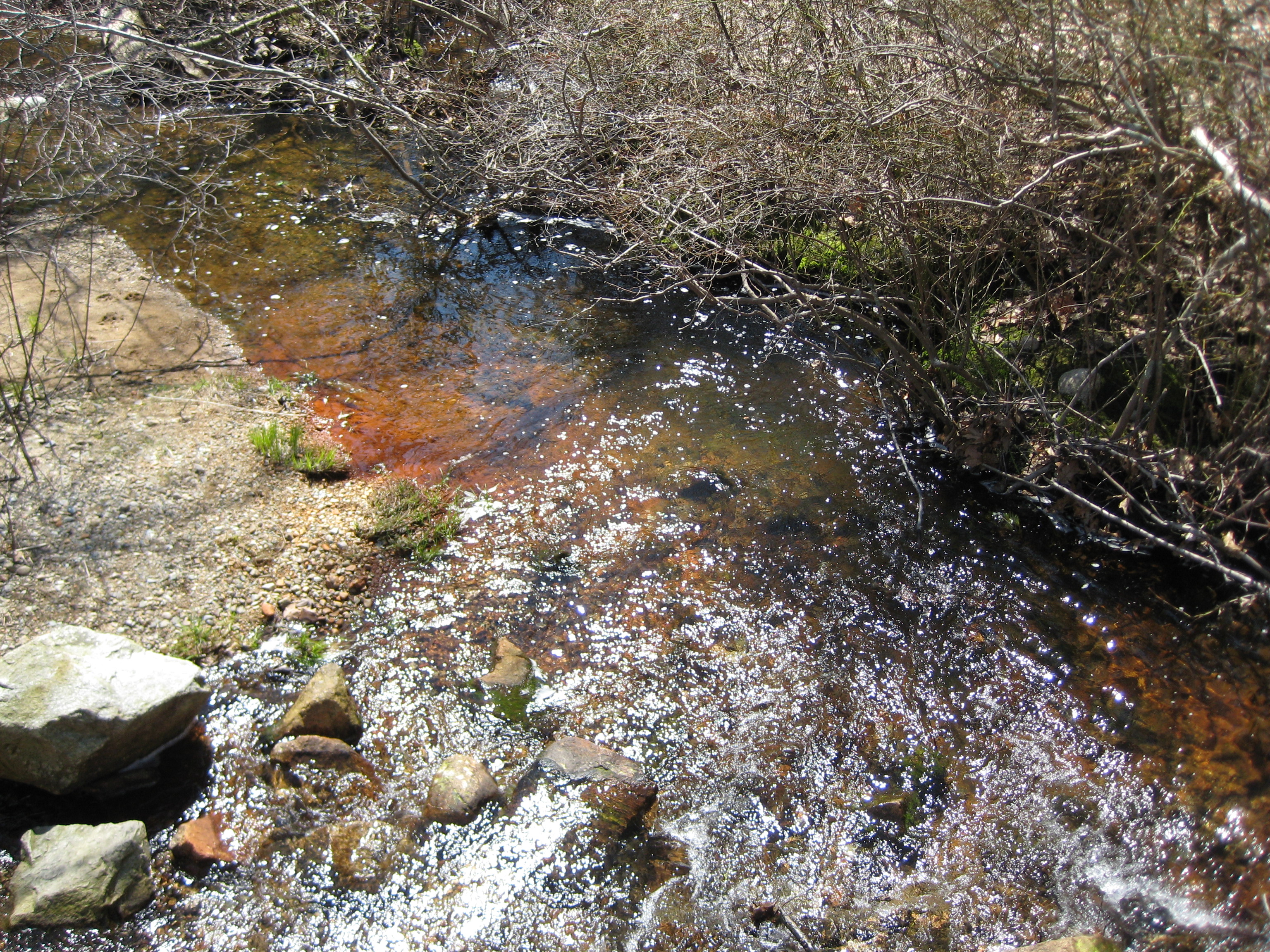 Borderland Park photo