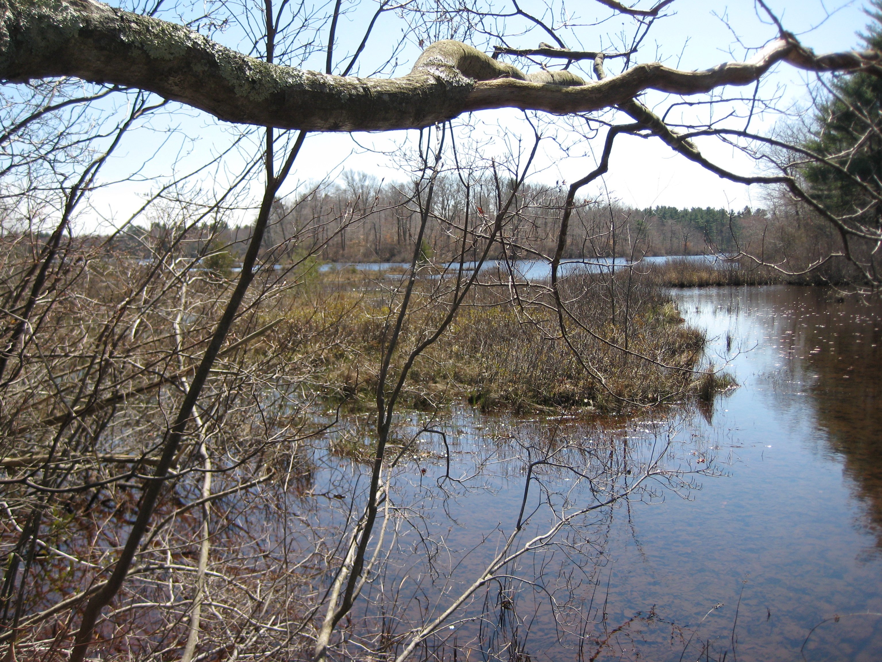 Borderland Park photo