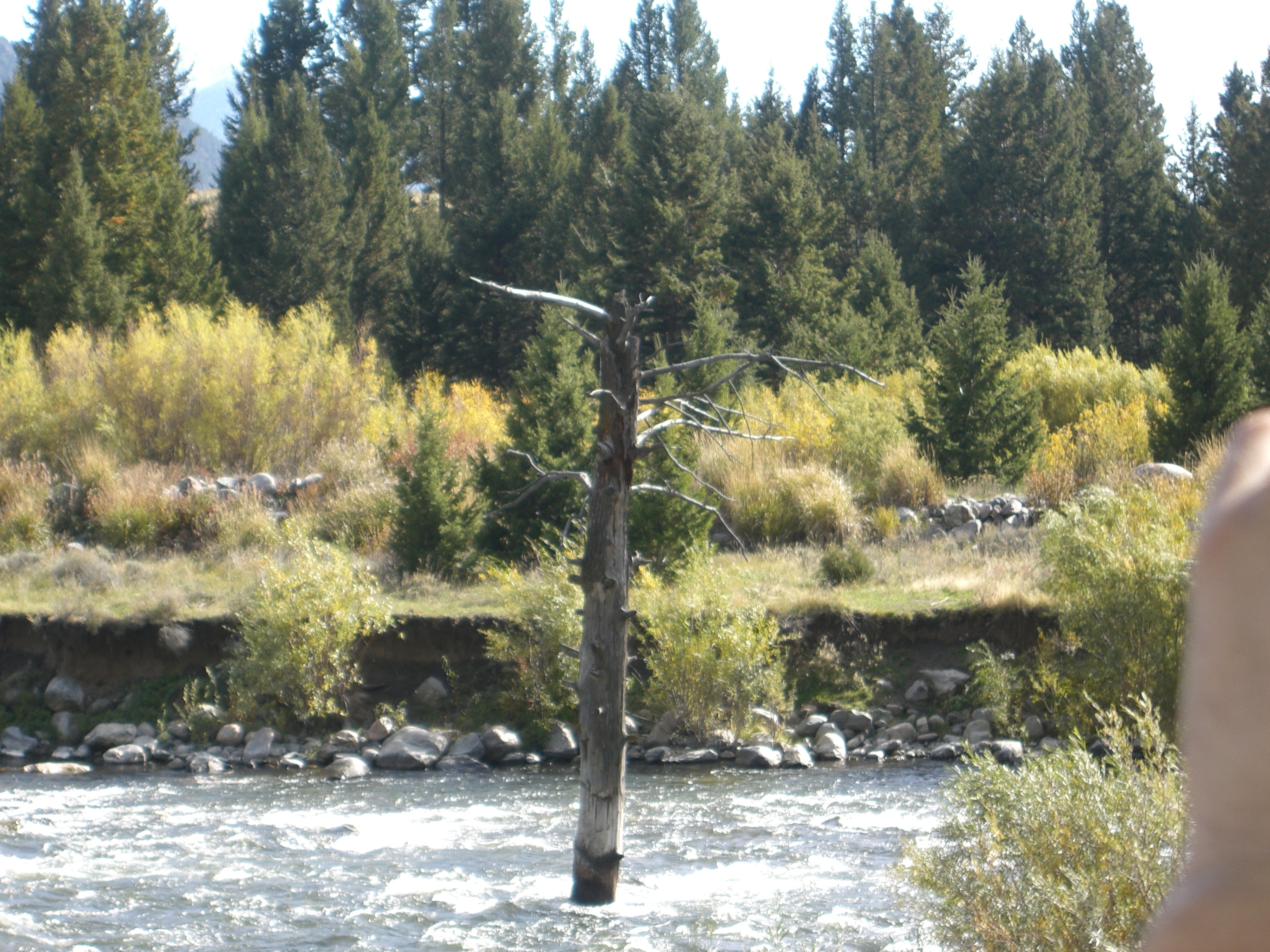 Cross country road trip photo