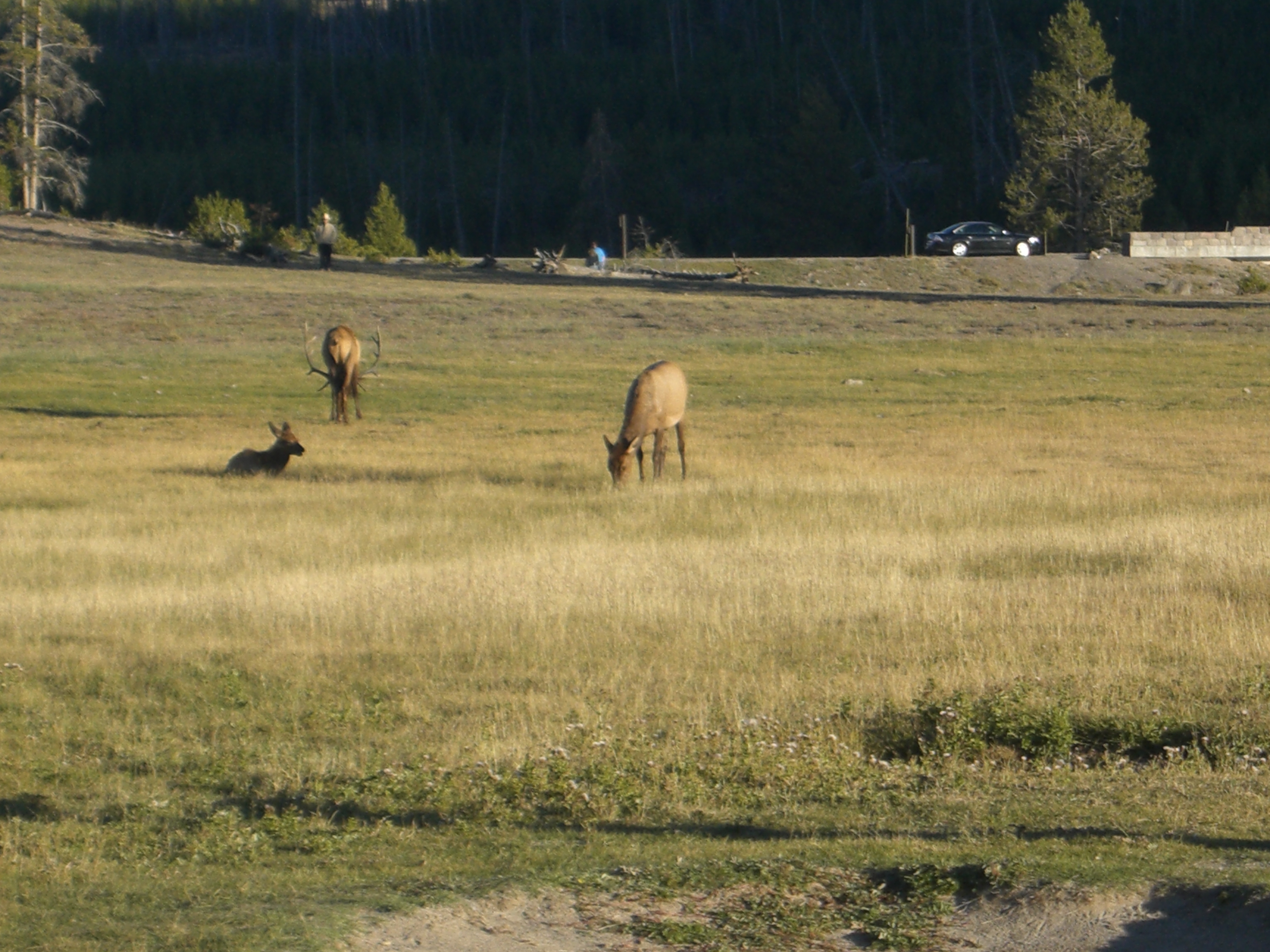 Cross country road trip photo