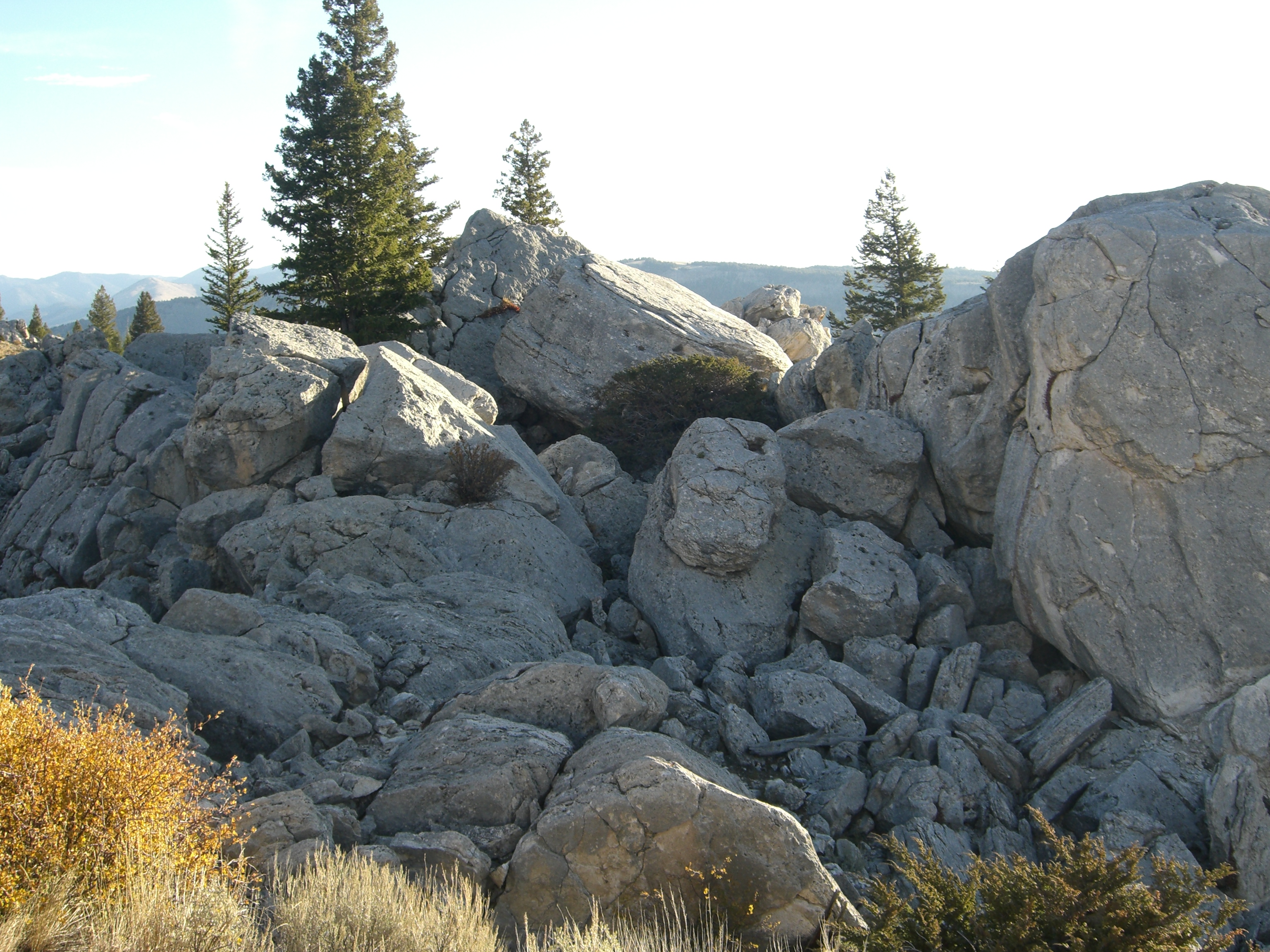 Cross country road trip photo