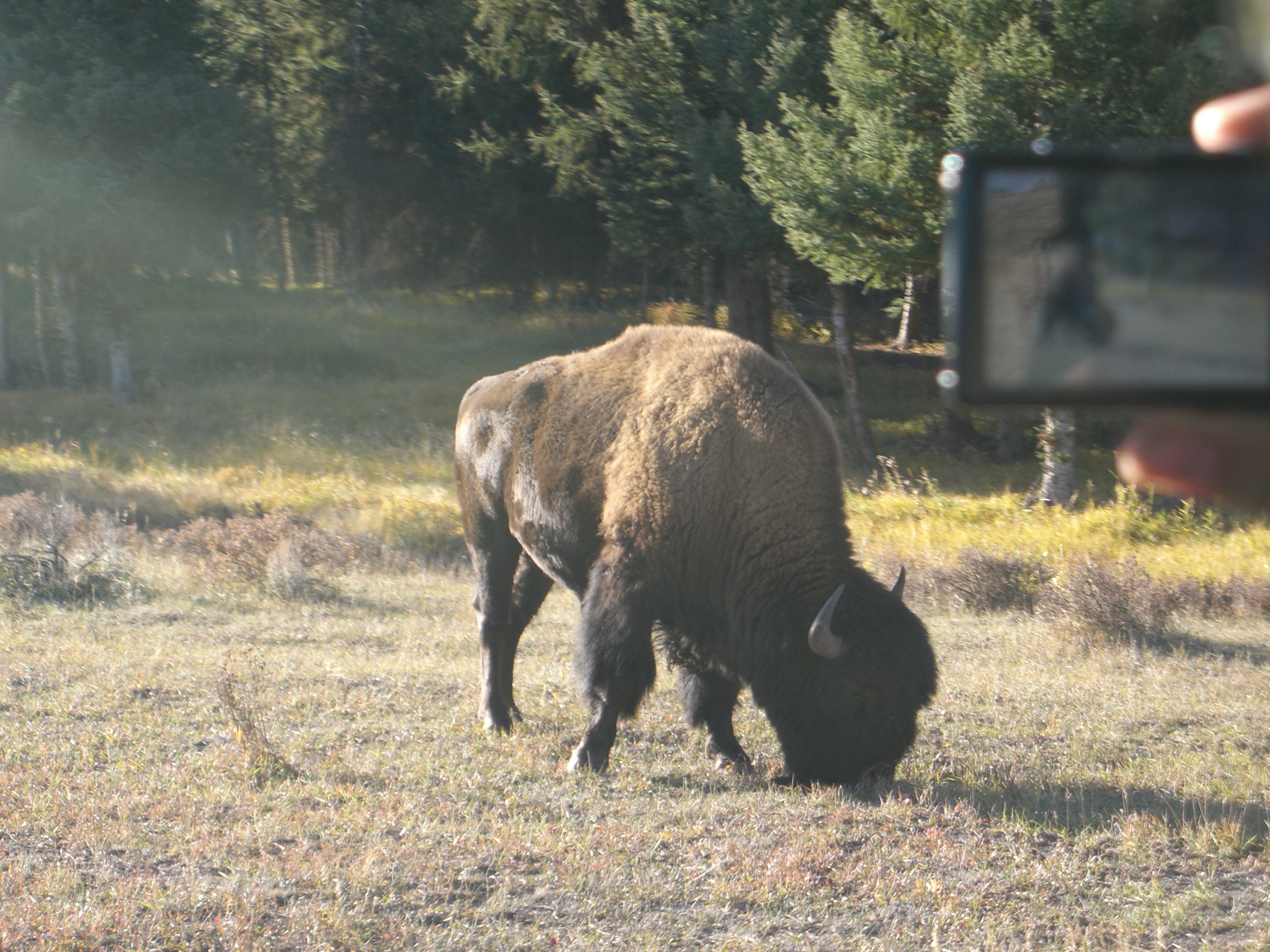 Cross country road trip photo