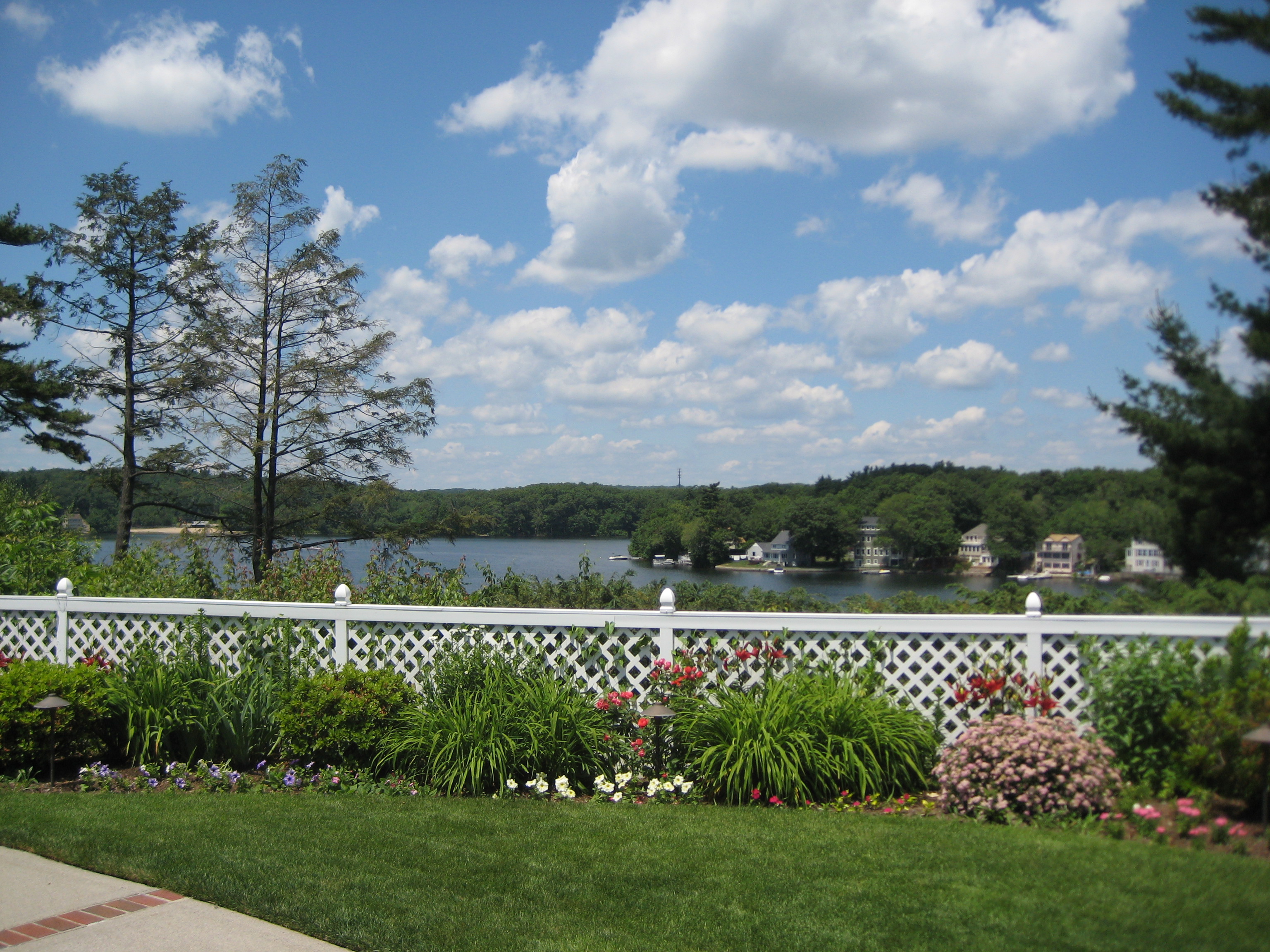 Eric Cosmimennis wedding photo