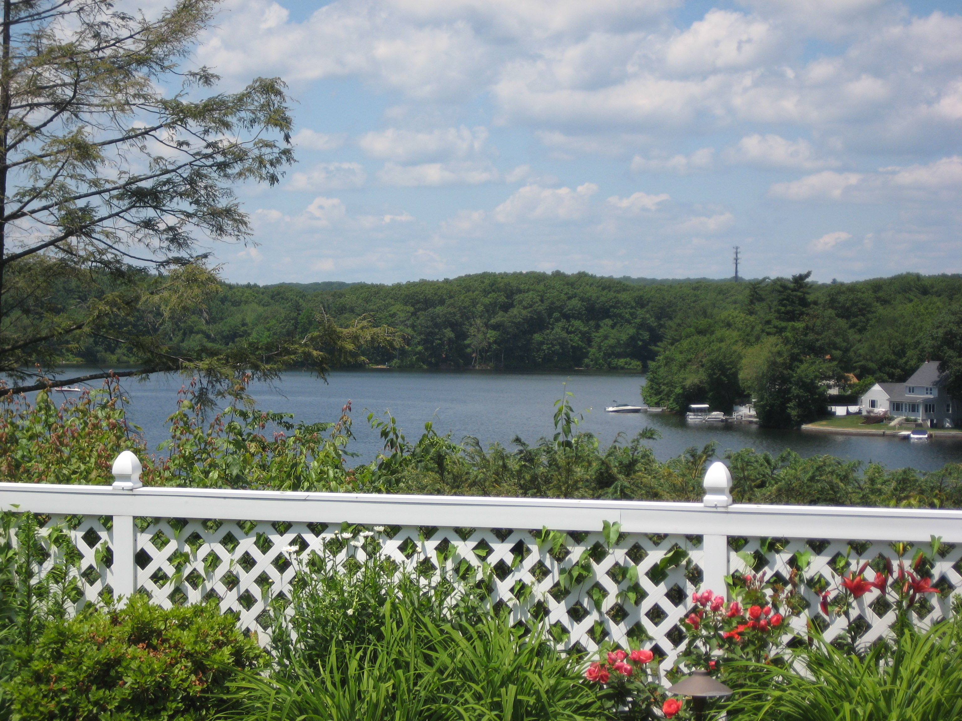 Eric Cosmimennis wedding photo