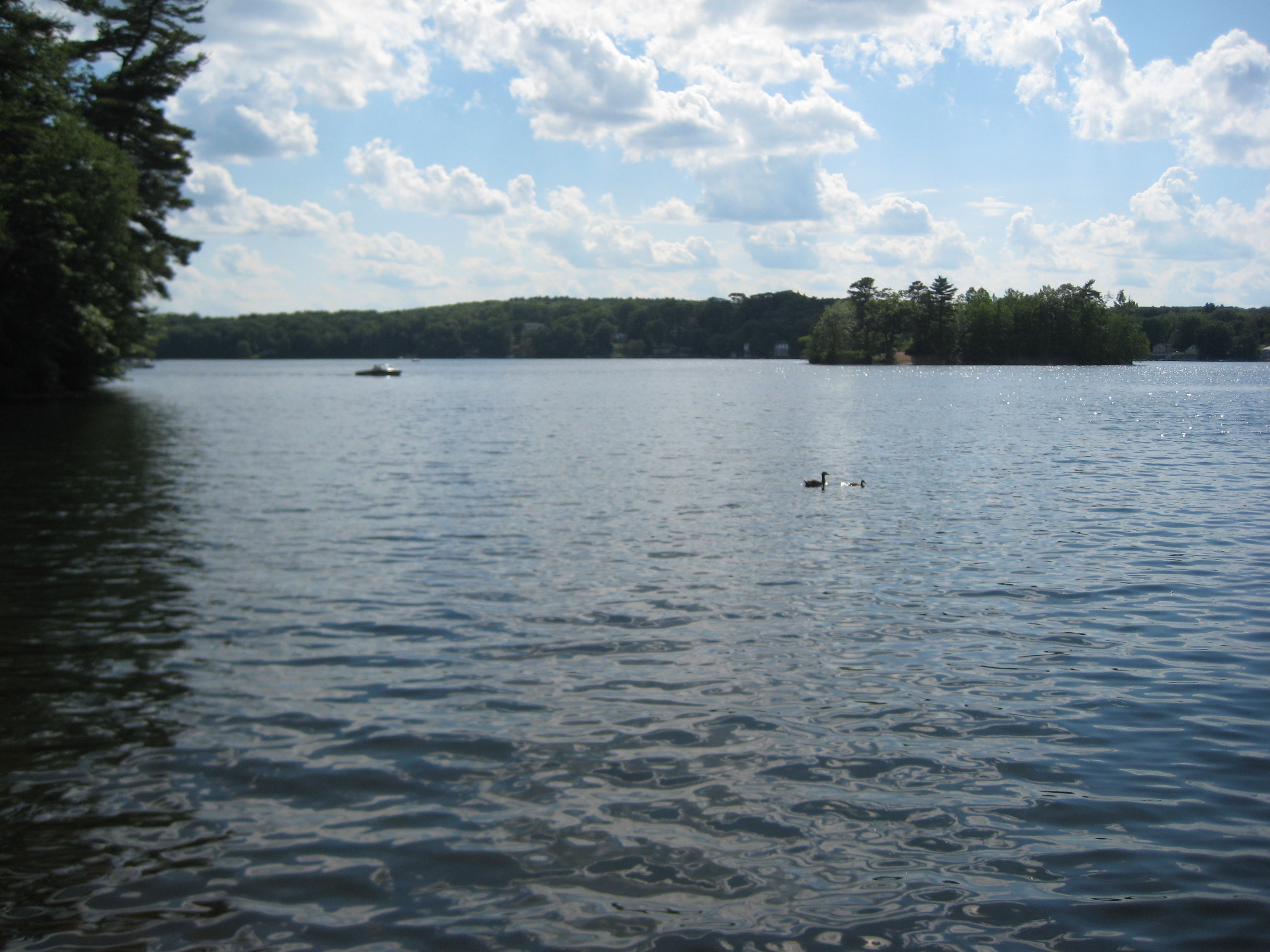Eric Cosmimennis wedding photo