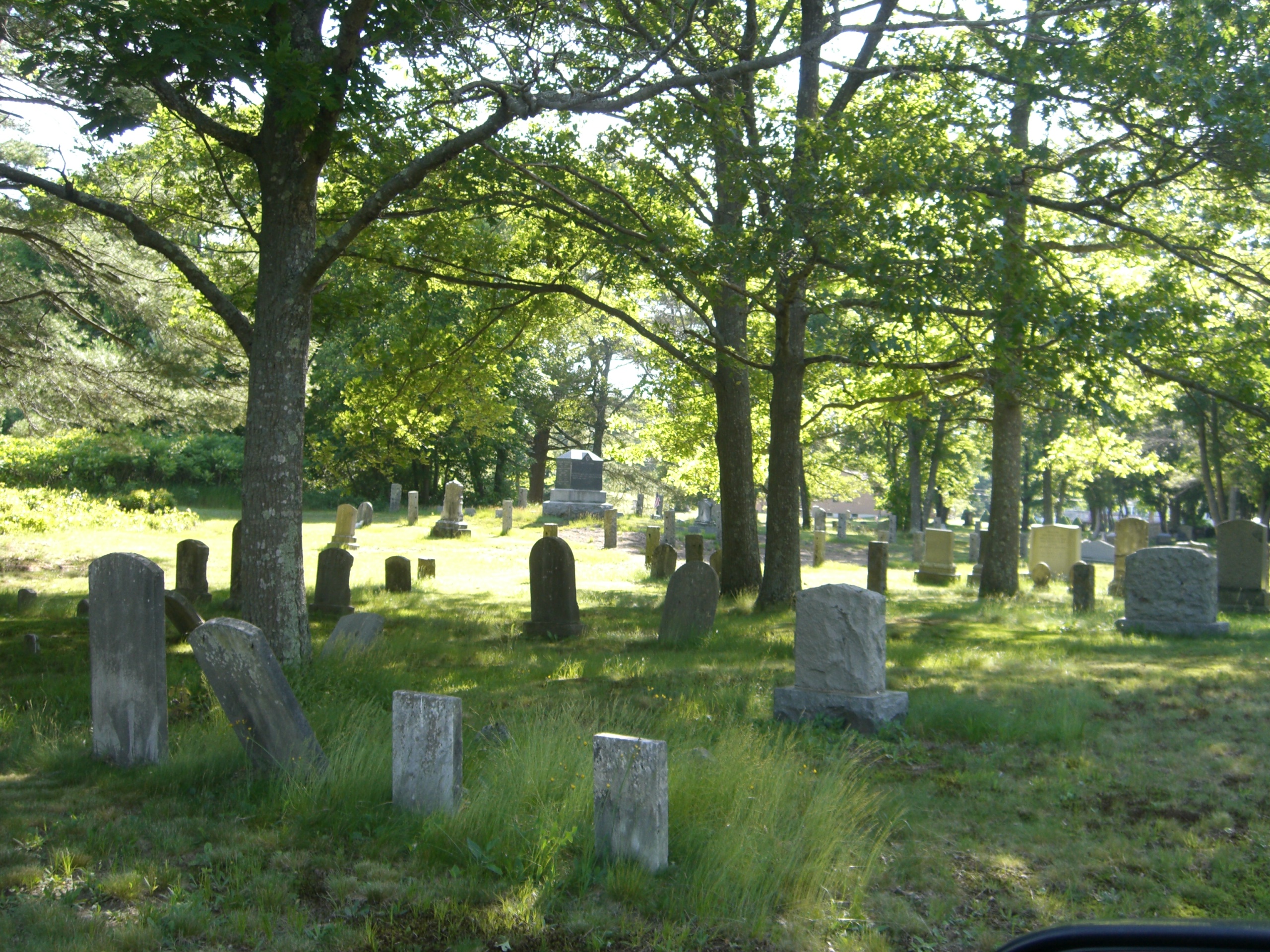 Friends and music photo