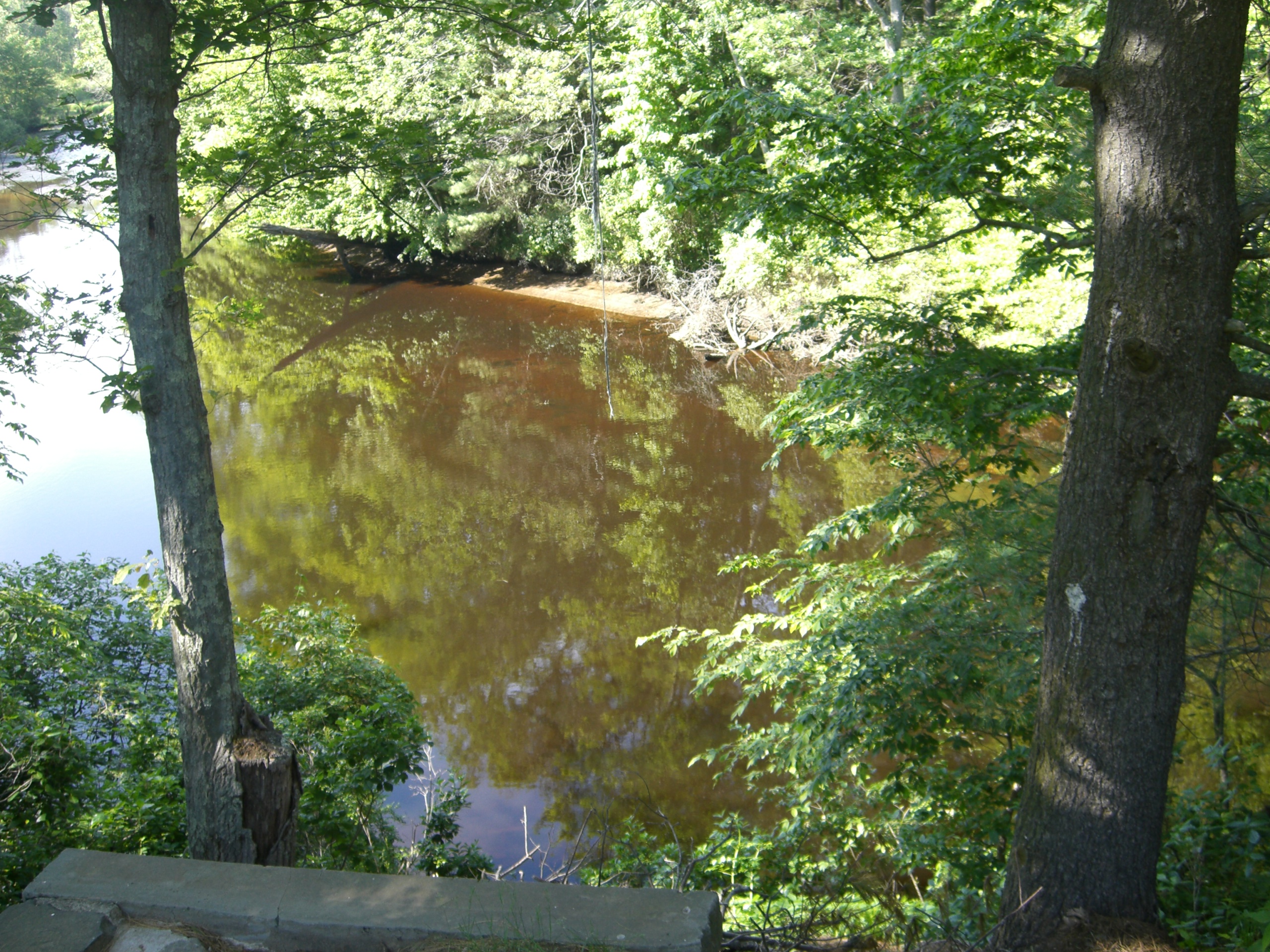 Friends and music photo