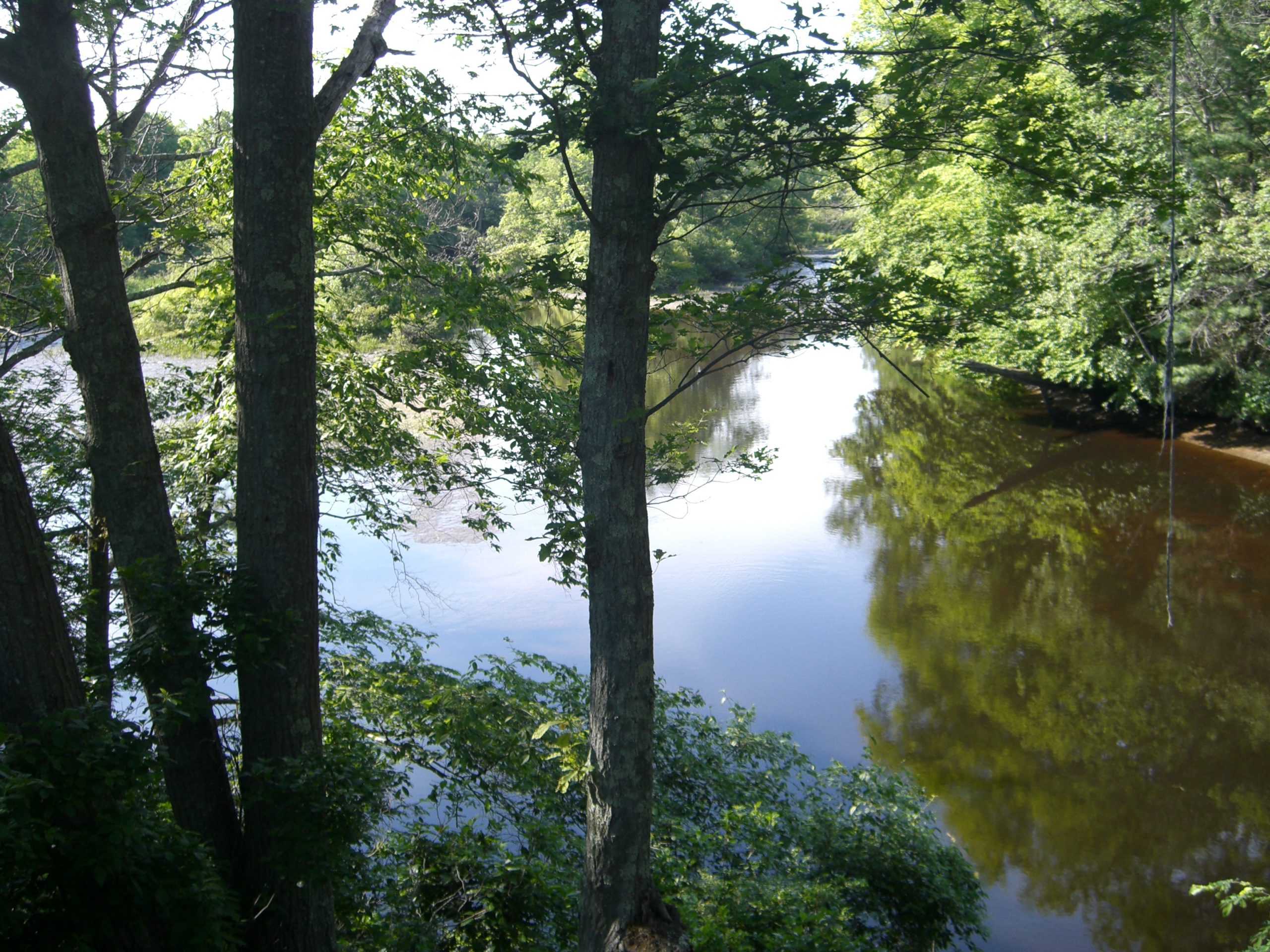 Friends and music photo