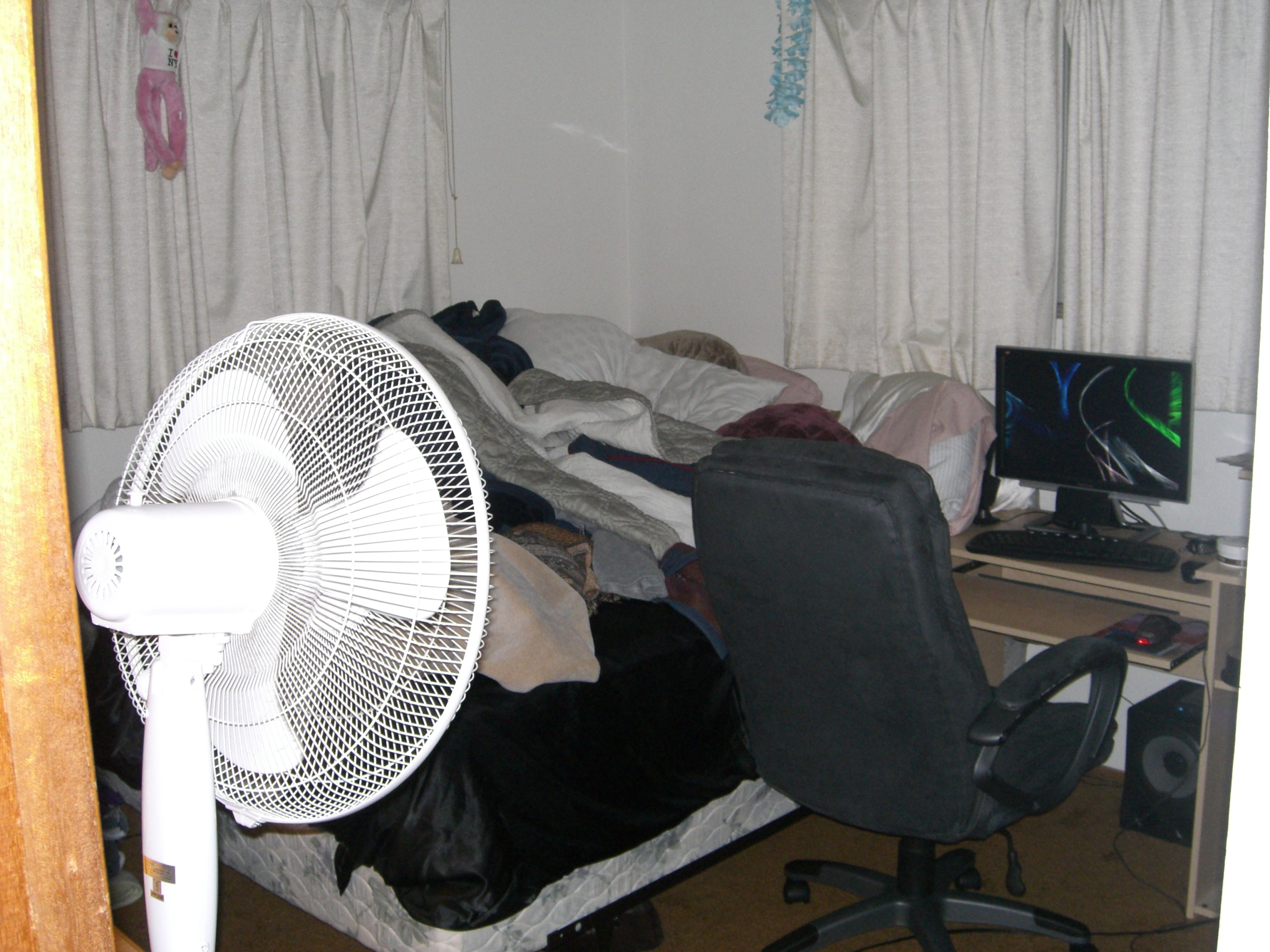 House rented Oak Harbor photo