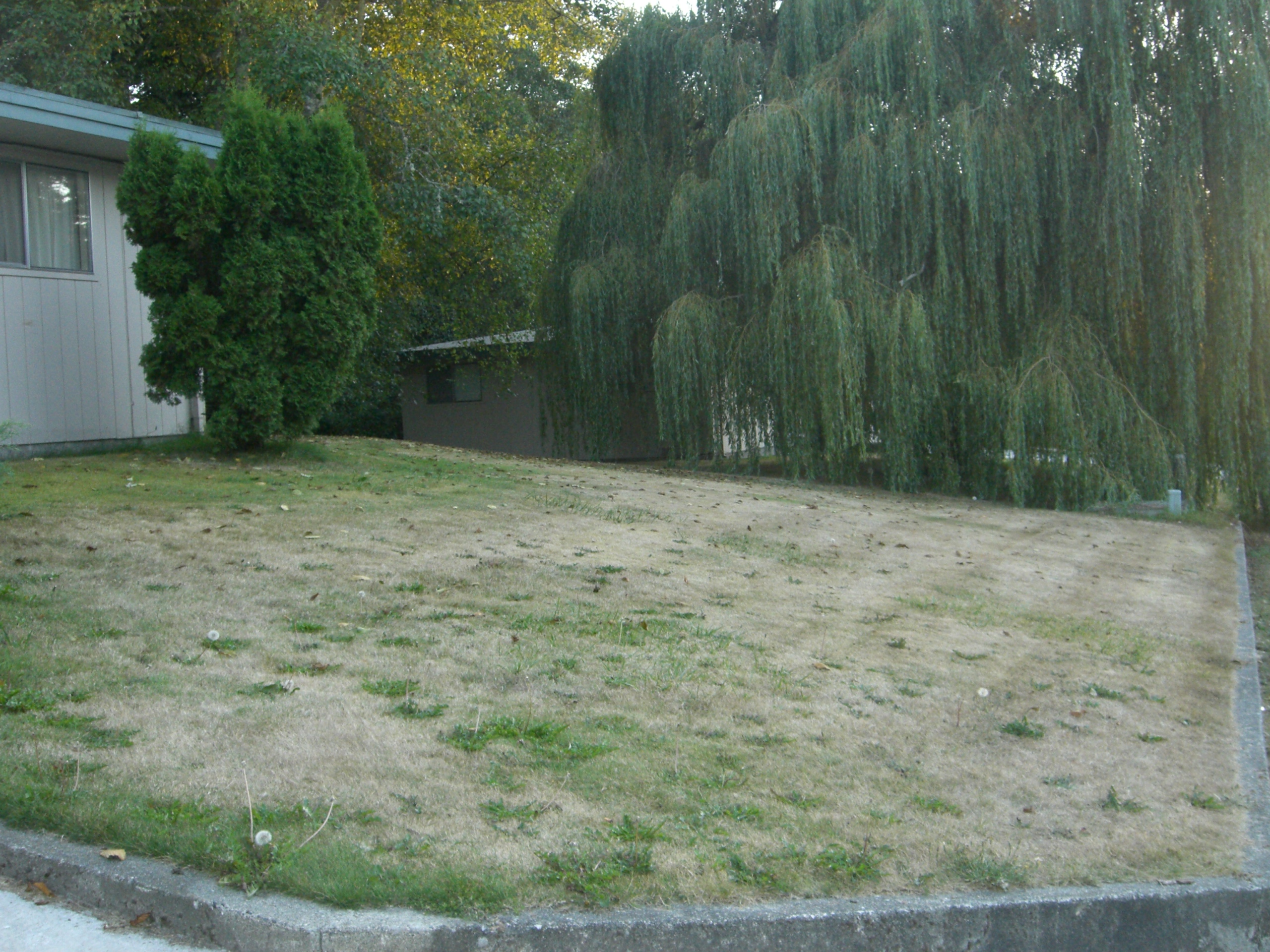 House rented Oak Harbor photo