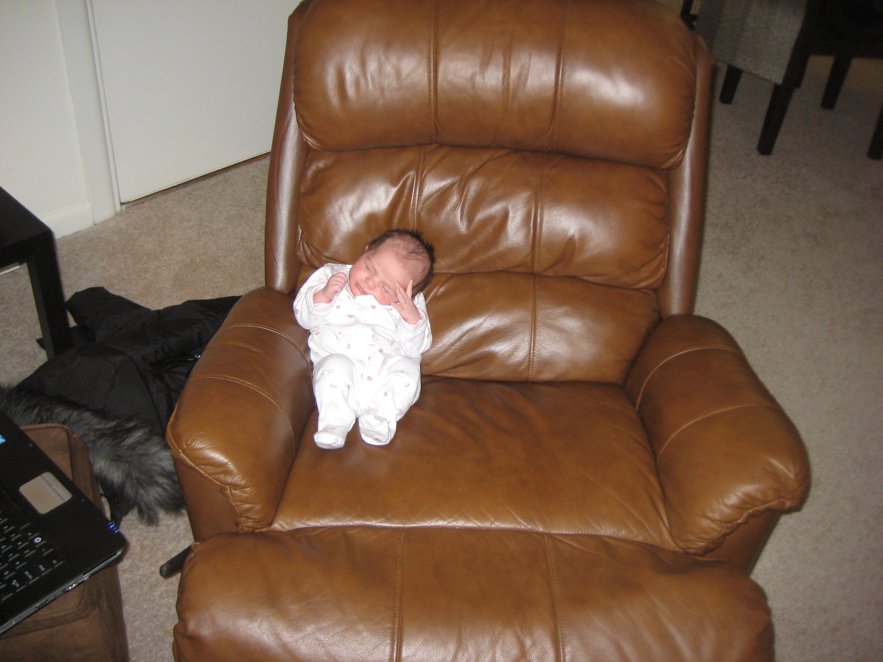 Lily just born photo