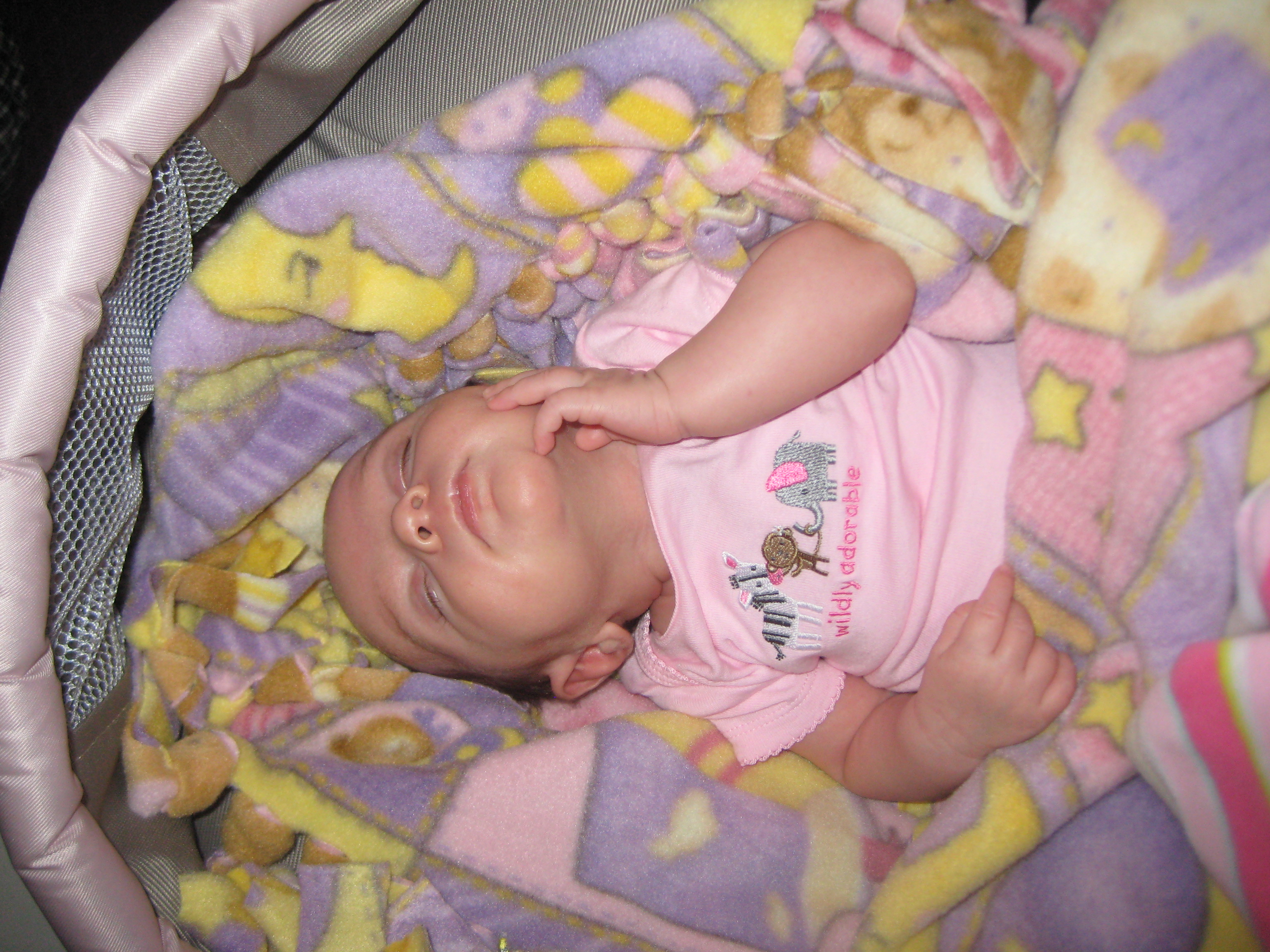 Lily just born photo