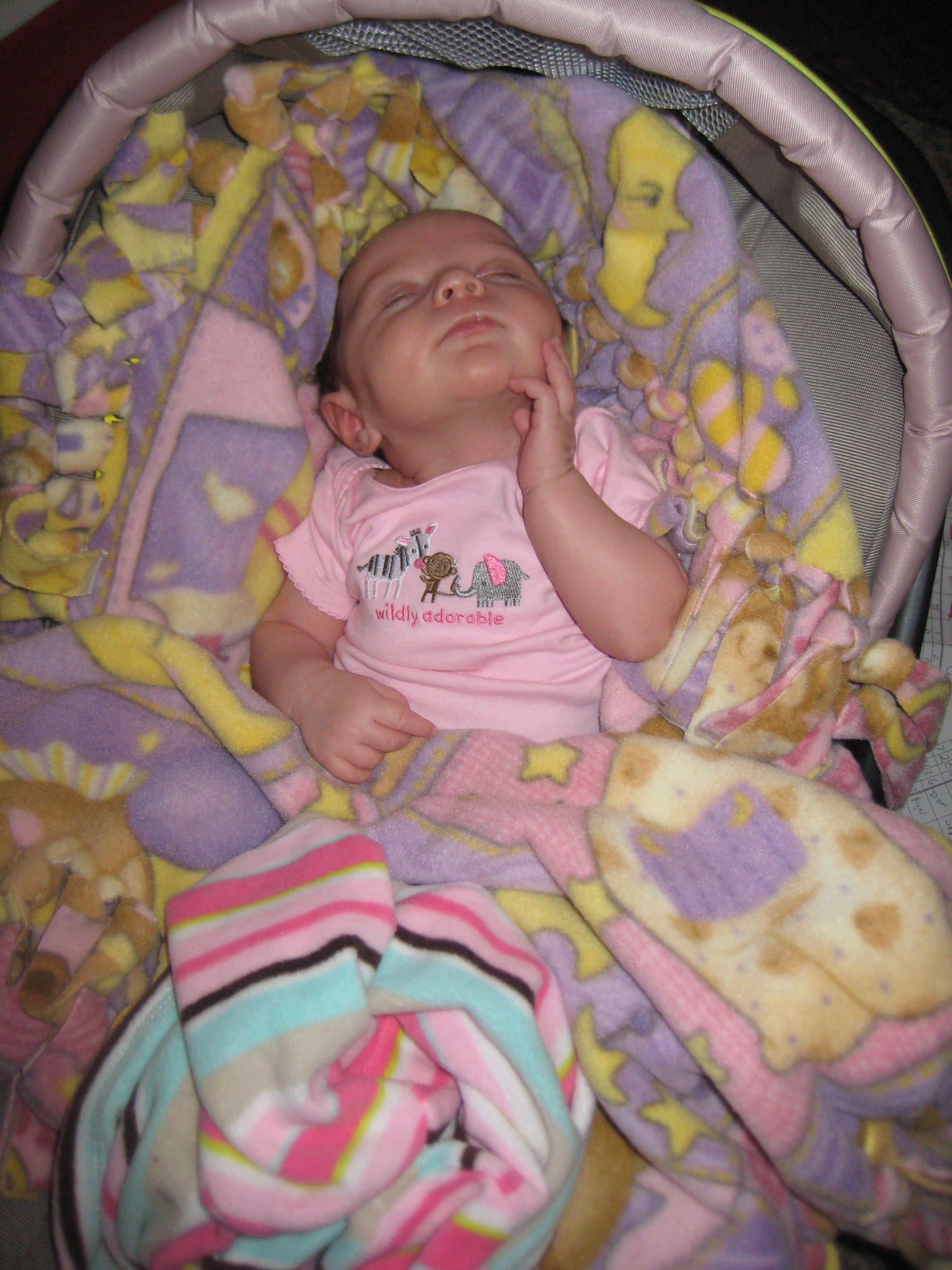 Lily just born photo