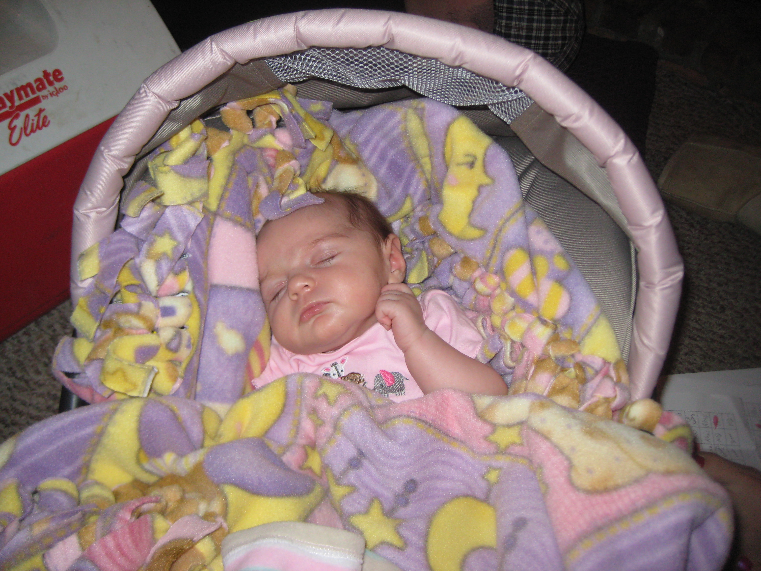 Lily just born photo