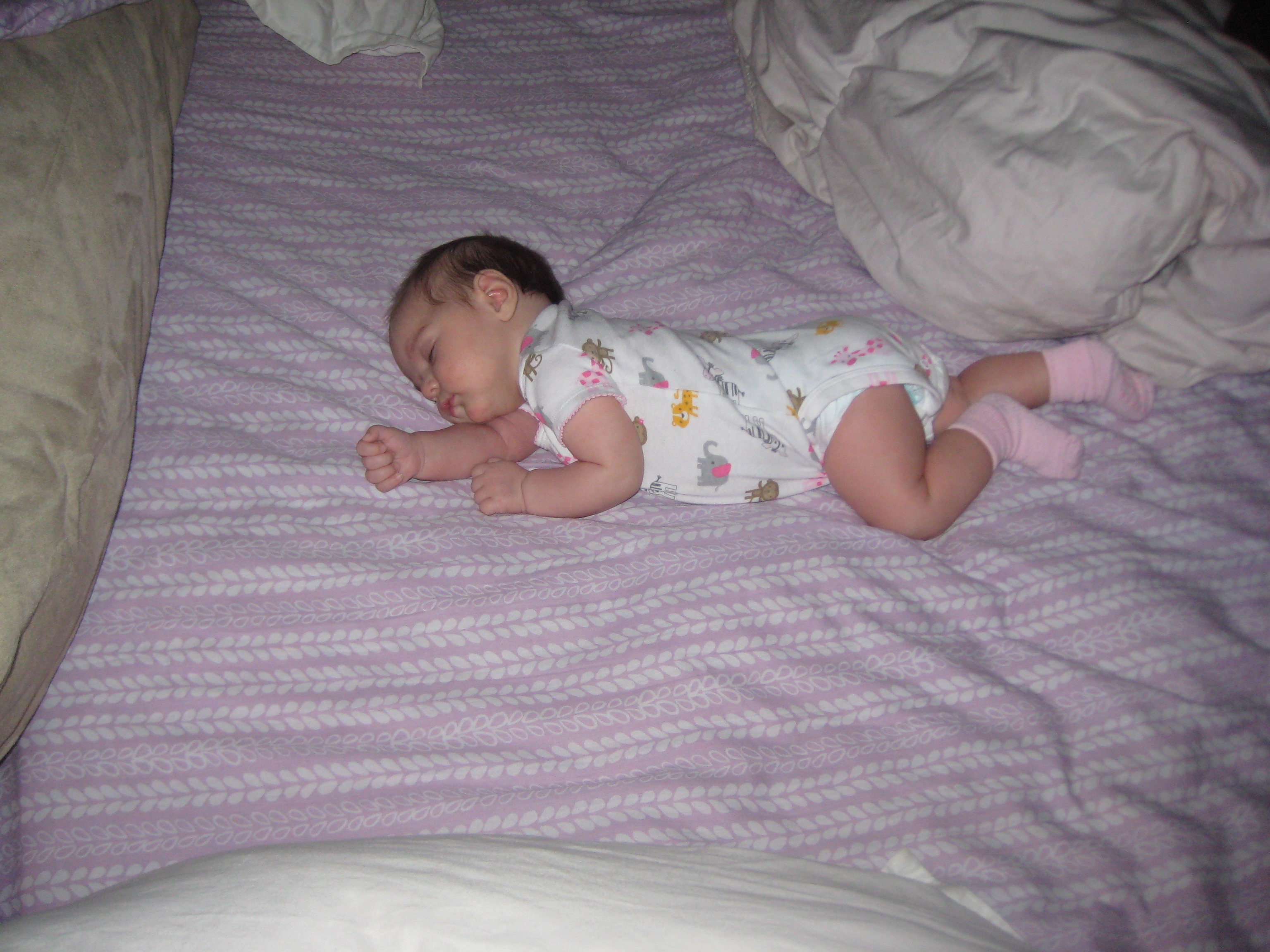 Lily just born photo