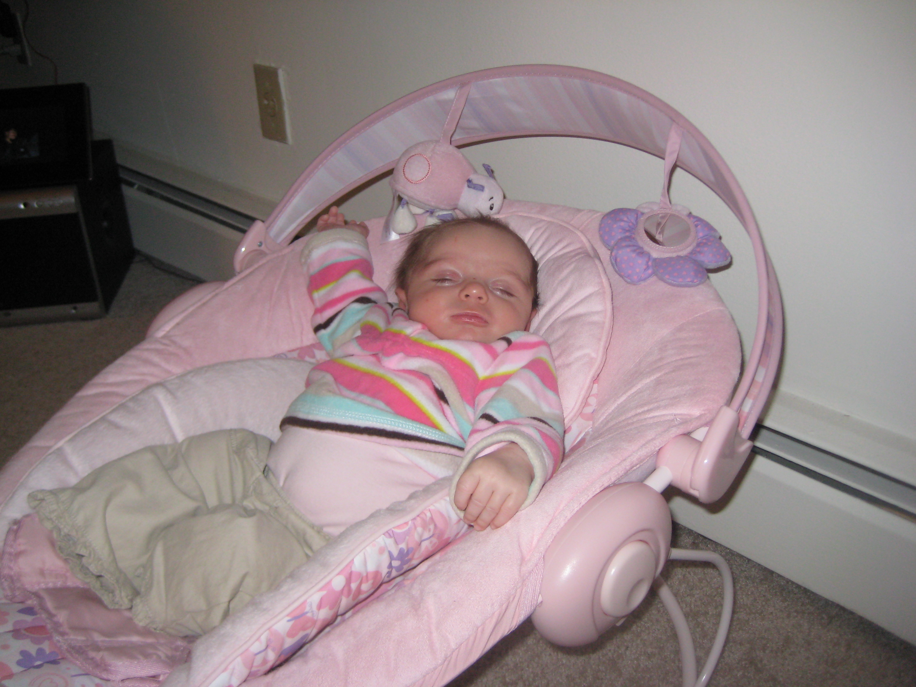 Lily just born photo