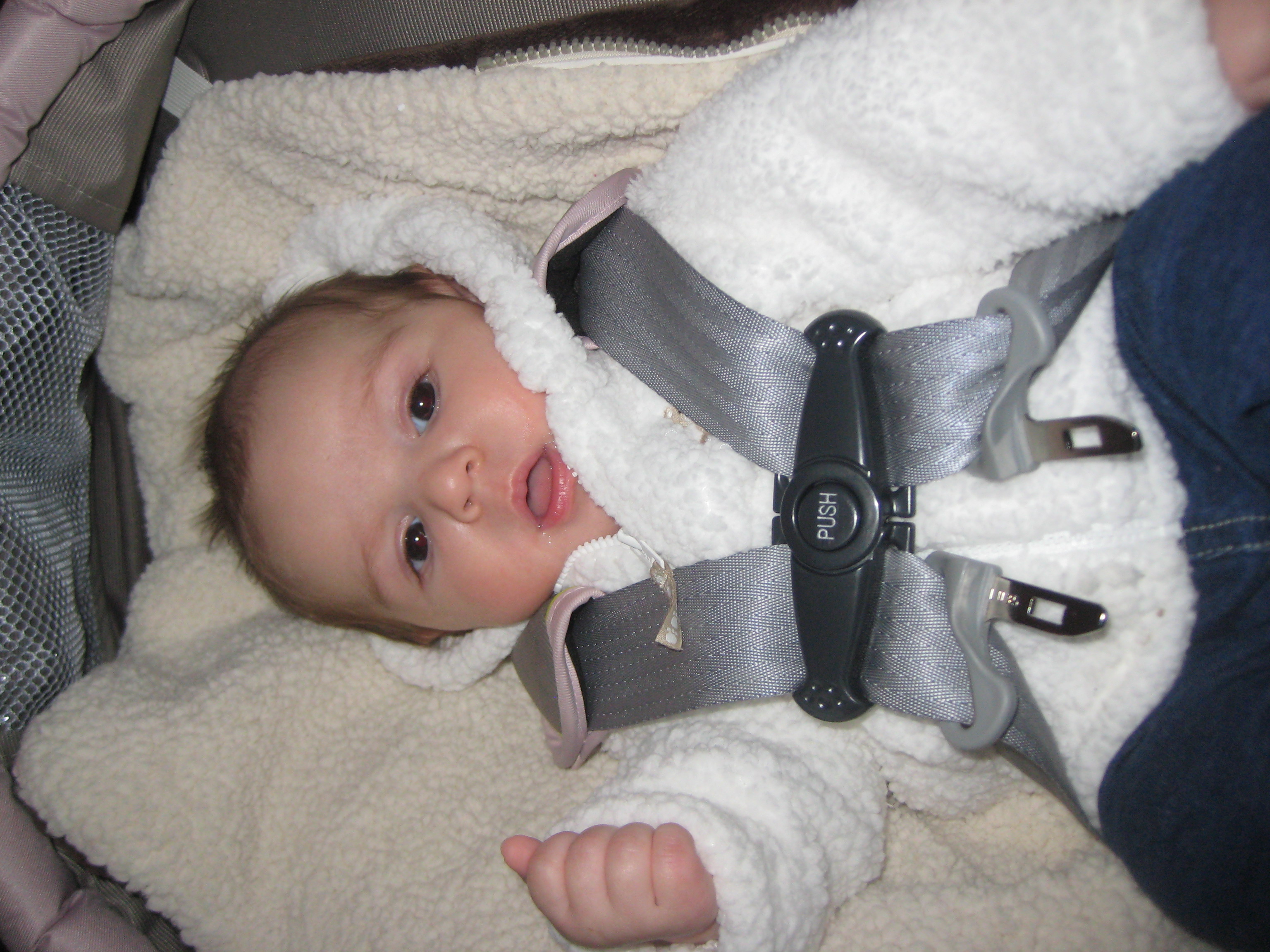 Lily just born photo