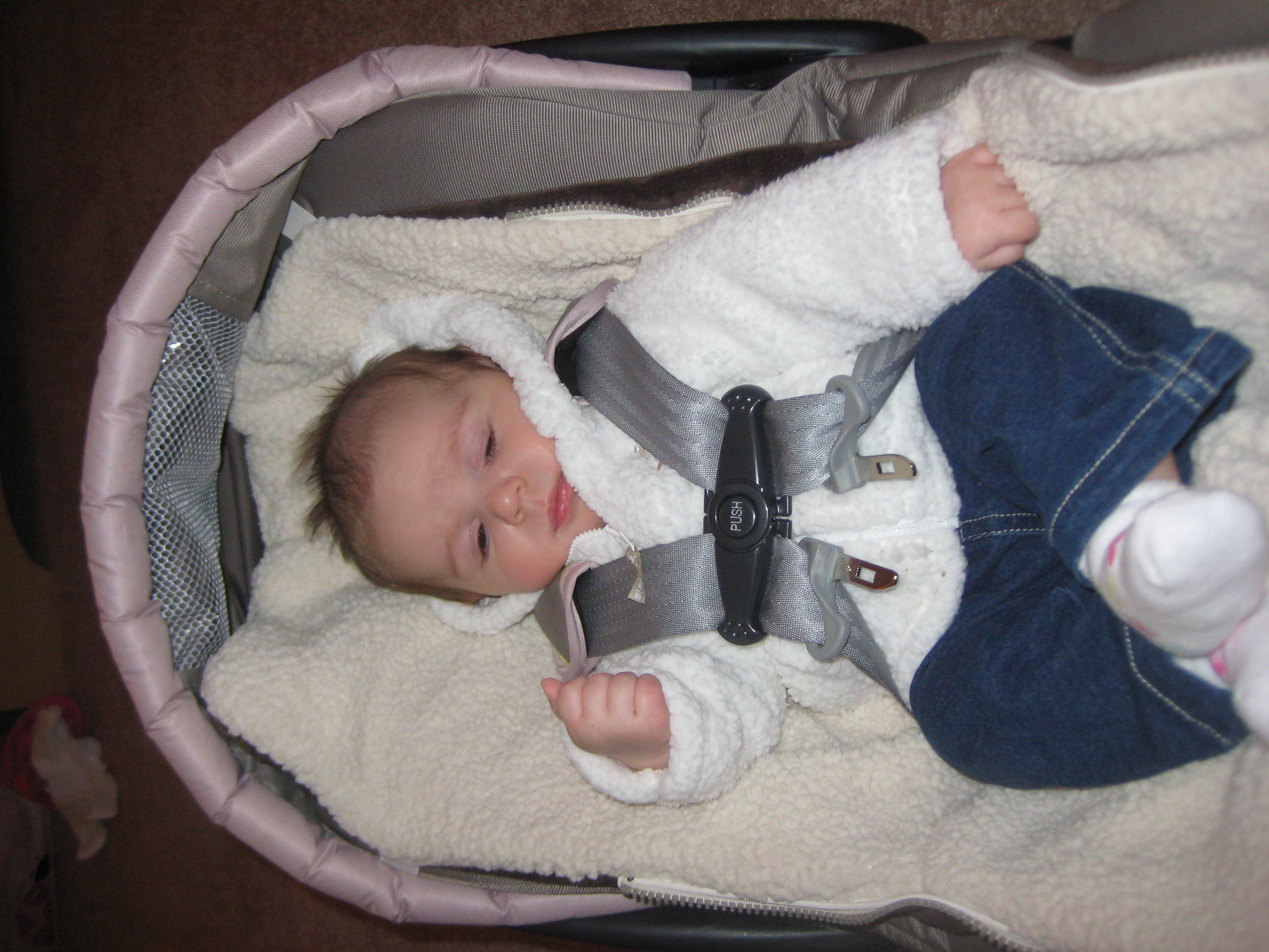 Lily just born photo