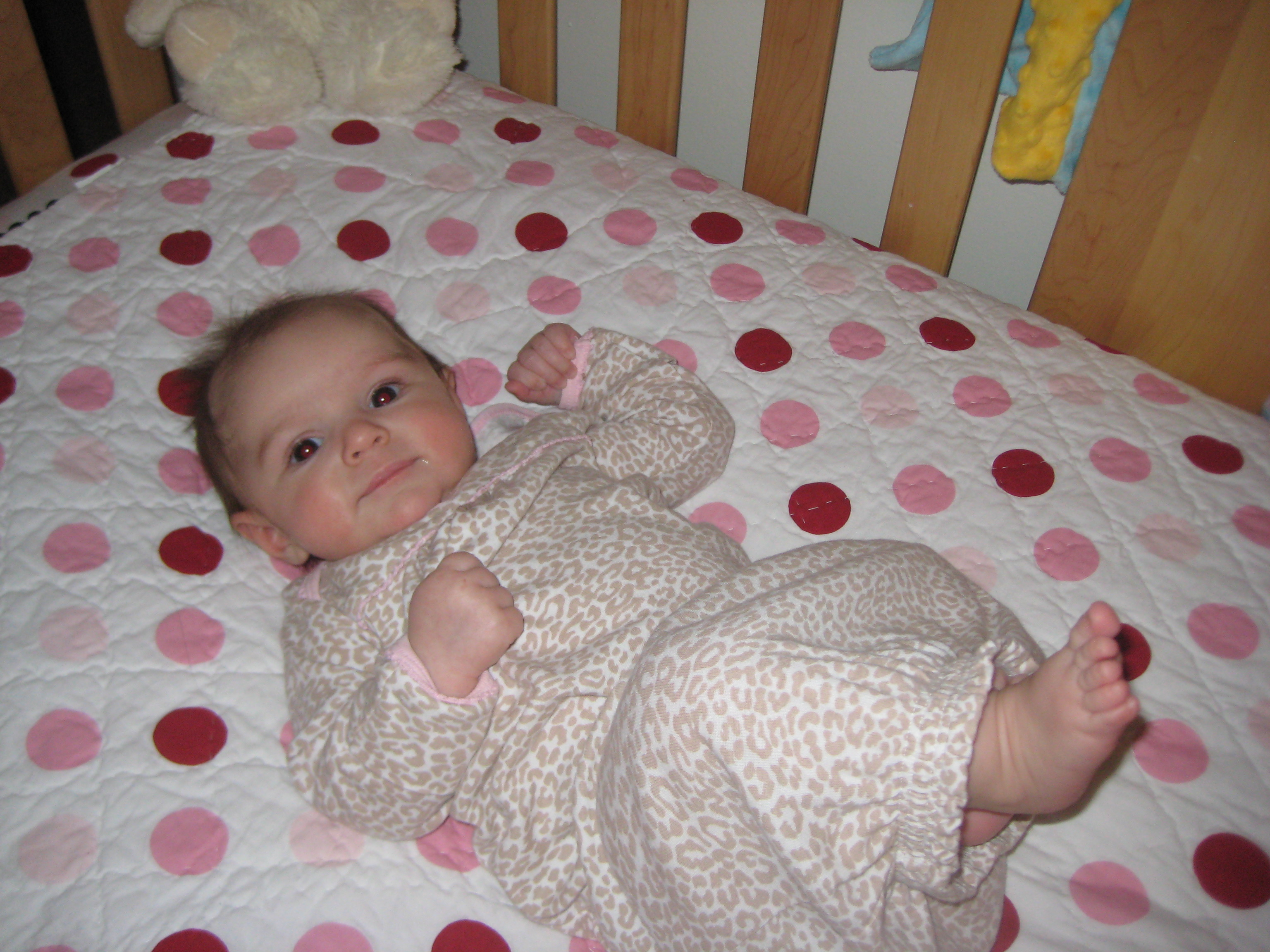 Lily just born photo