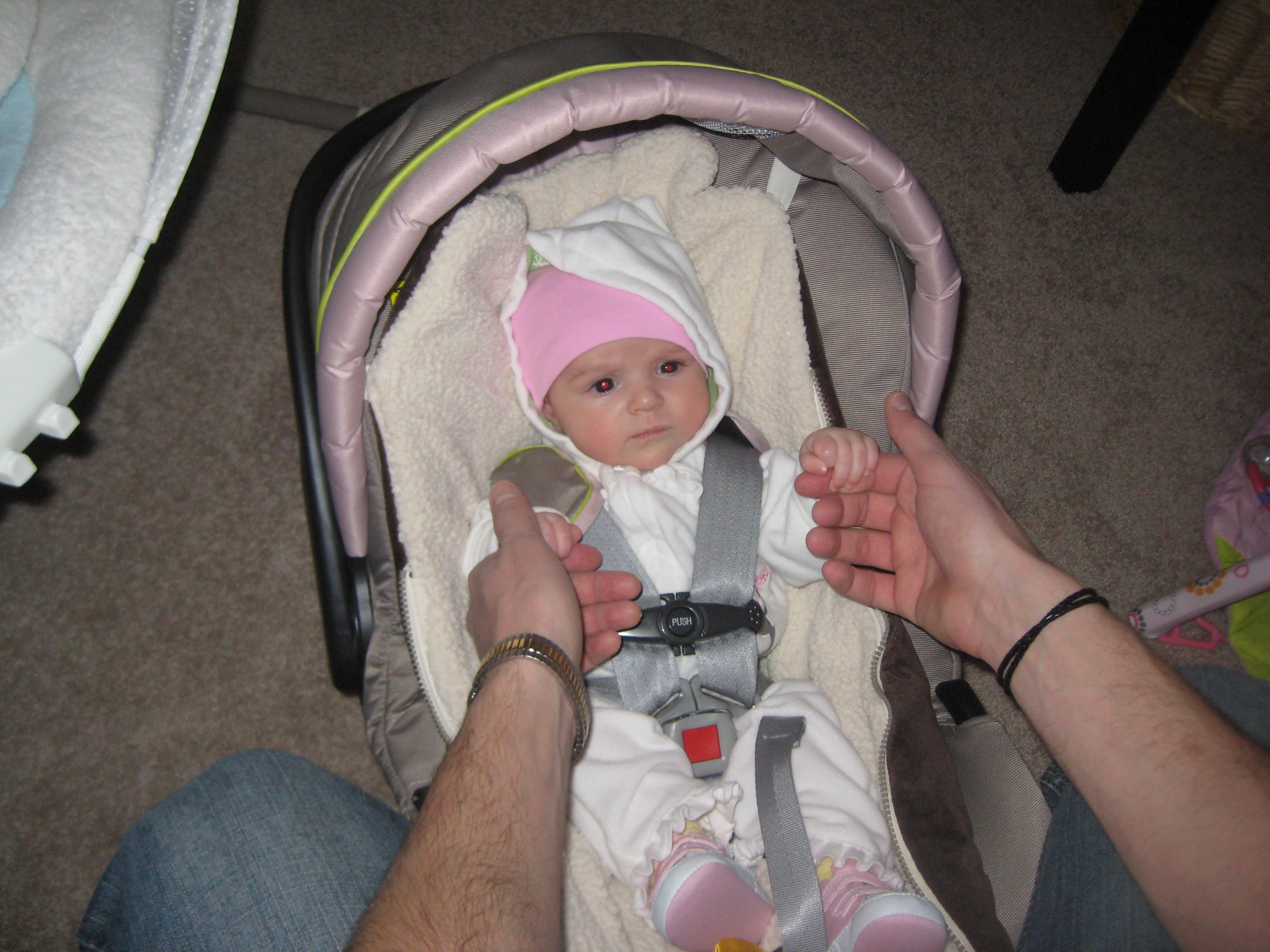 Lily just born photo