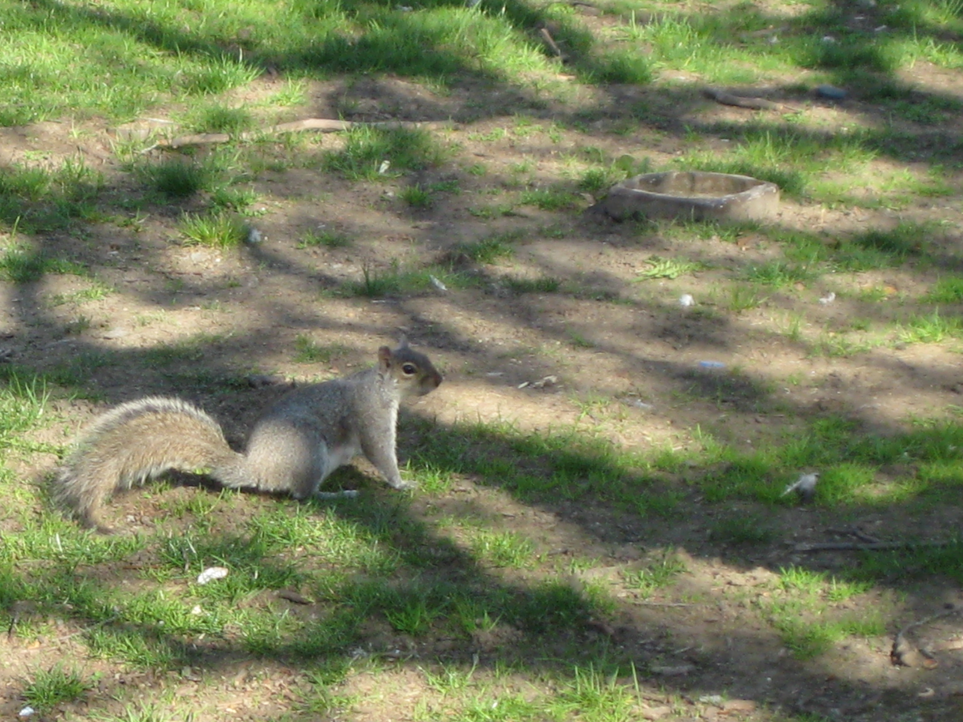 Providence, RI photo